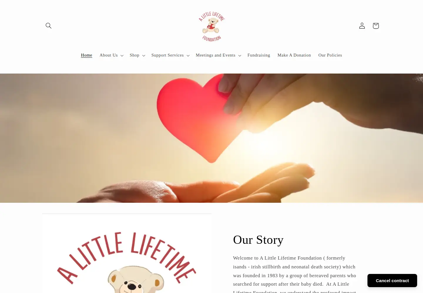Captured homepage of alittlelifetime.ie in the current scan