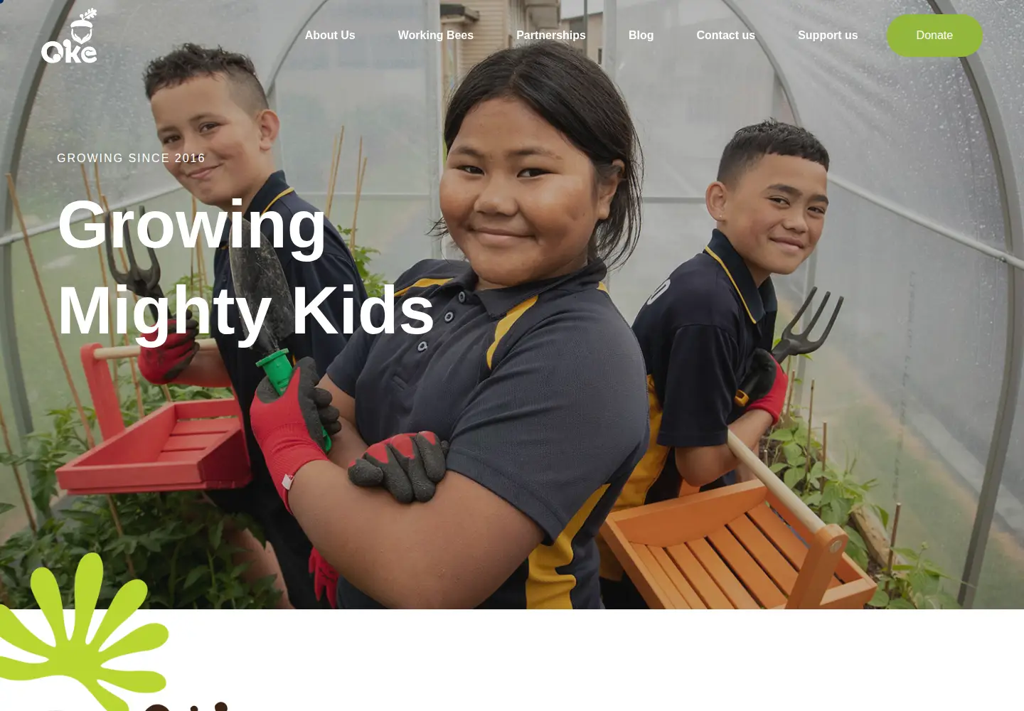 Captured homepage of oke.org.nz in the current scan