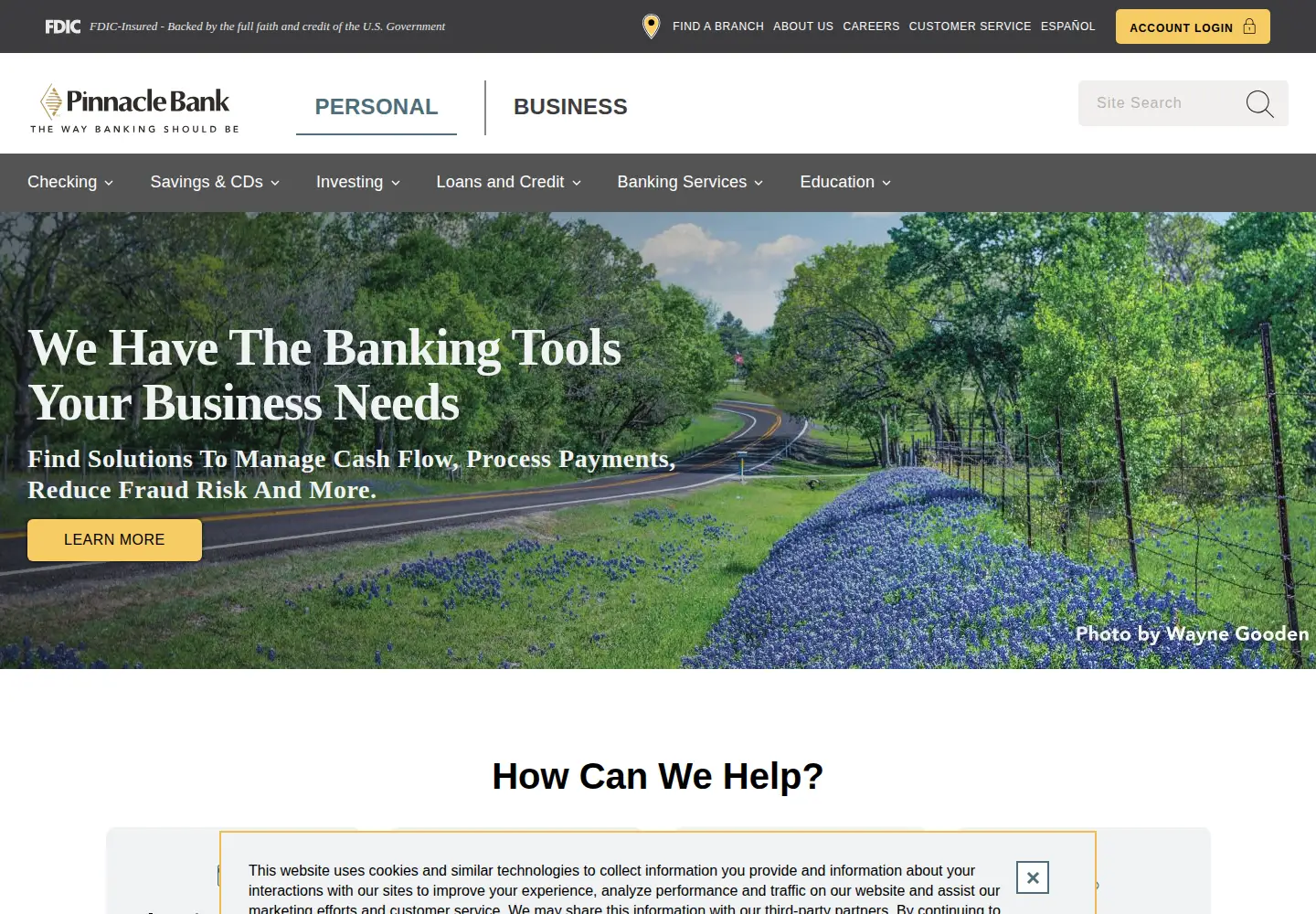 Captured homepage of pinnbanktx.com in the current scan