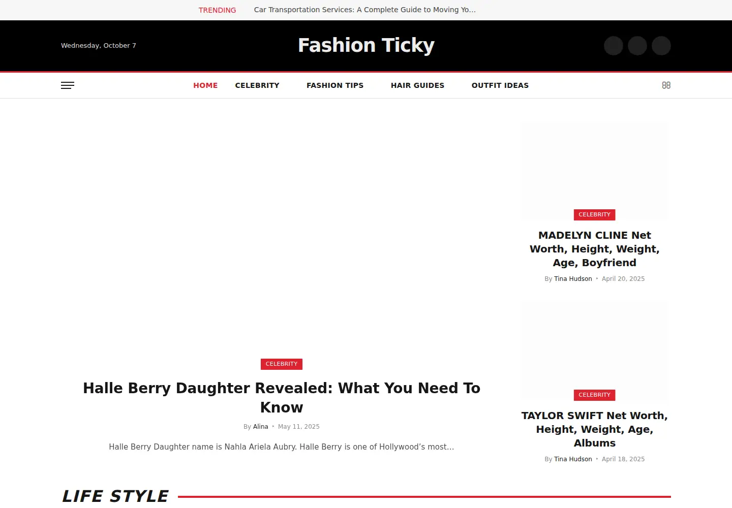 Captured homepage of fashionticky.com in the current scan