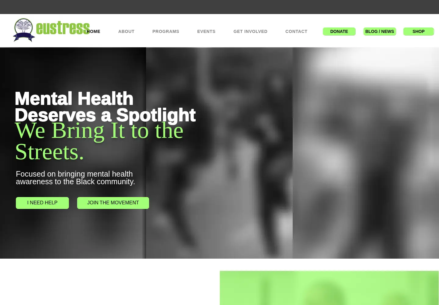 Captured homepage of eustressinc.org in the current scan