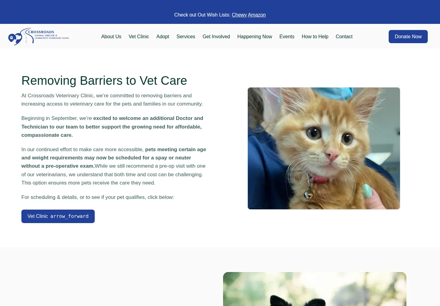 Captured homepage of crossroadsshelter.org in the current scan