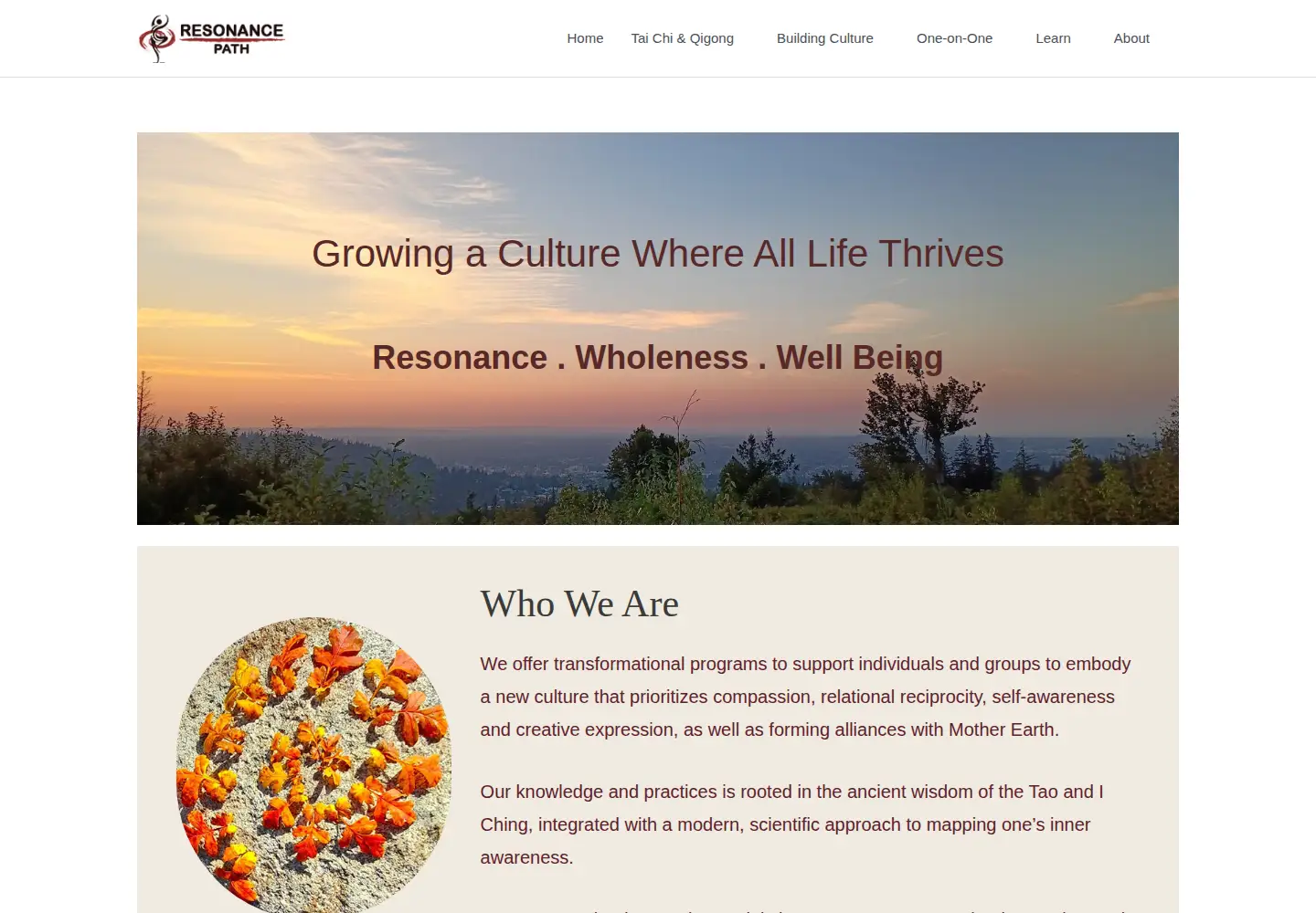 Screenshot of resonancepath.com