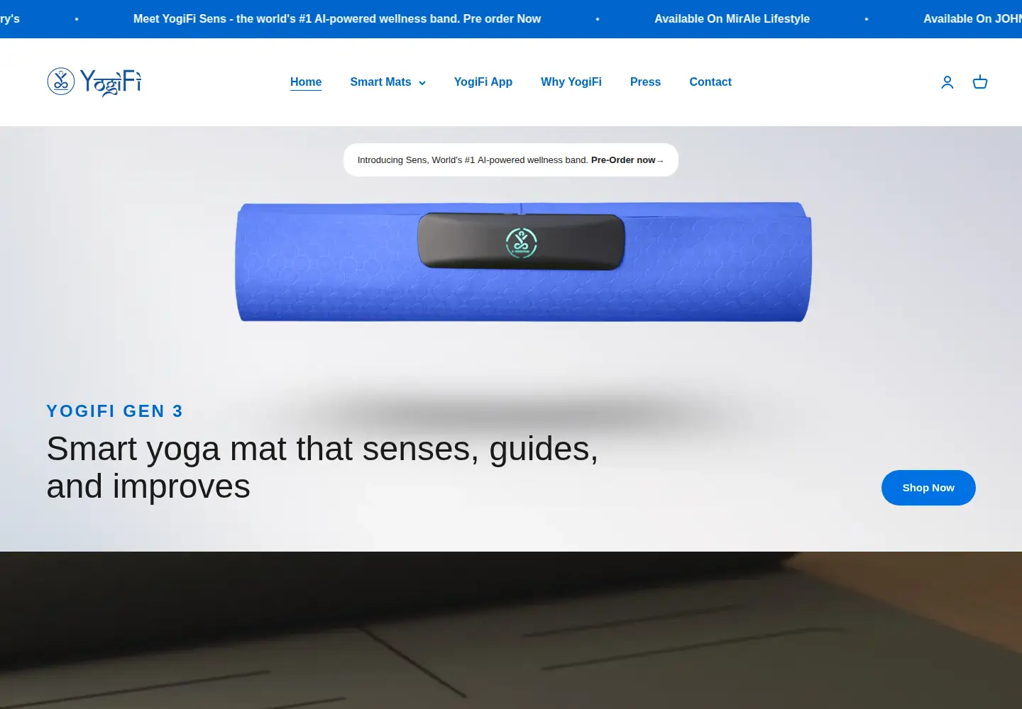 Captured homepage of yogifismart.com in the current scan