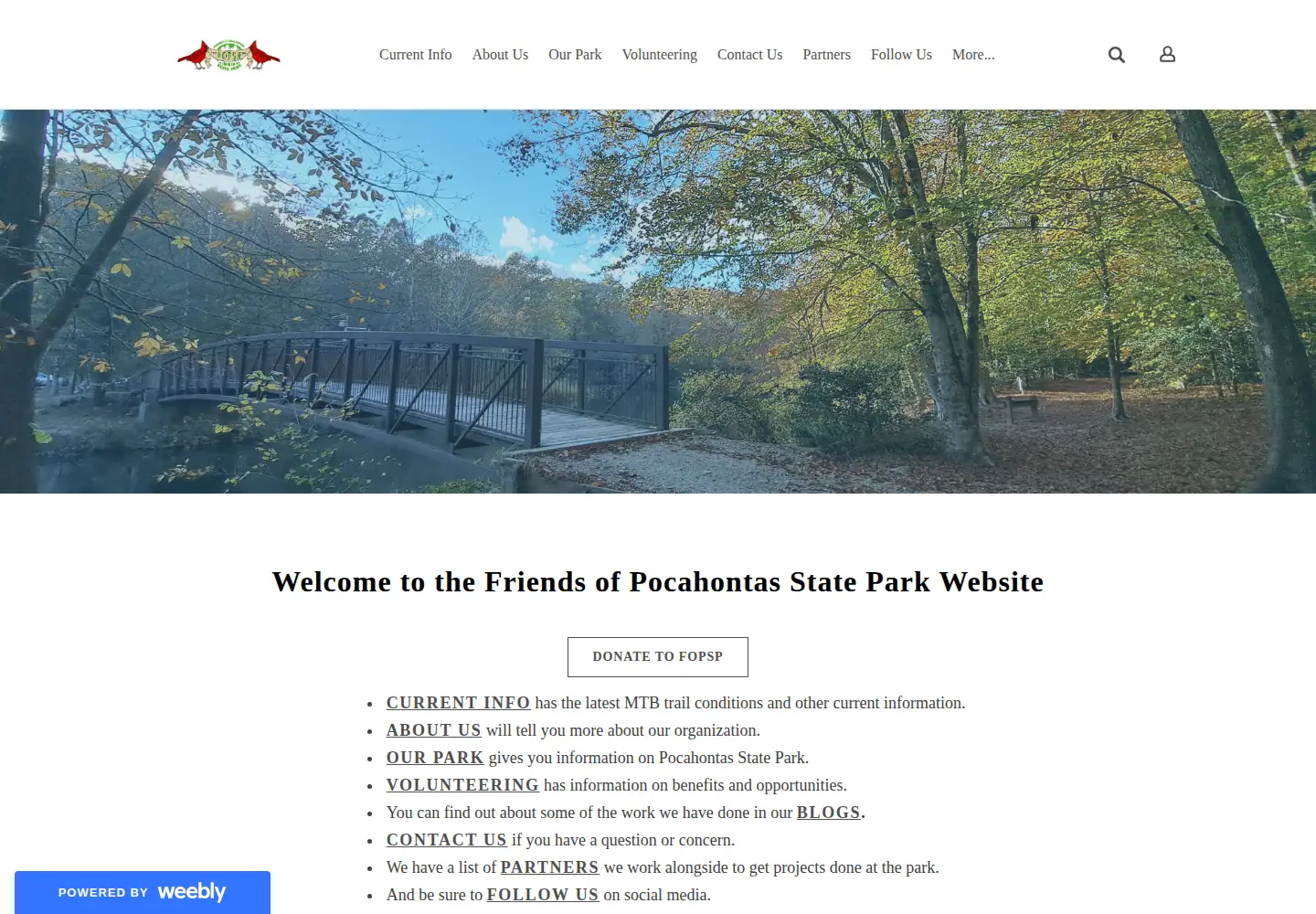 Screenshot of fopsp.org