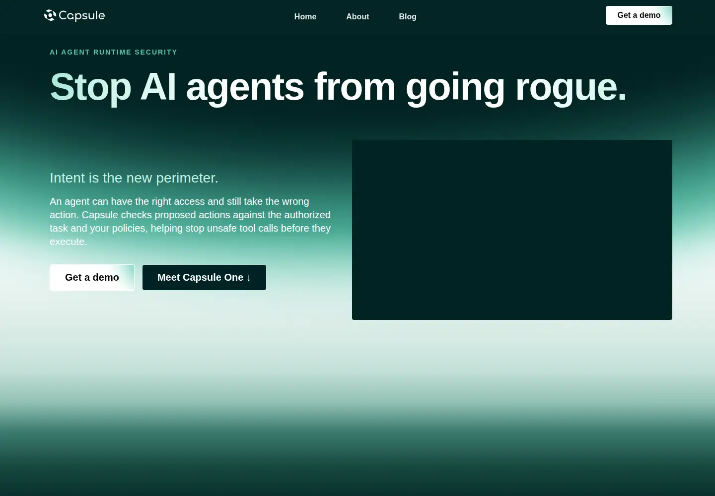 Screenshot of capsule.security