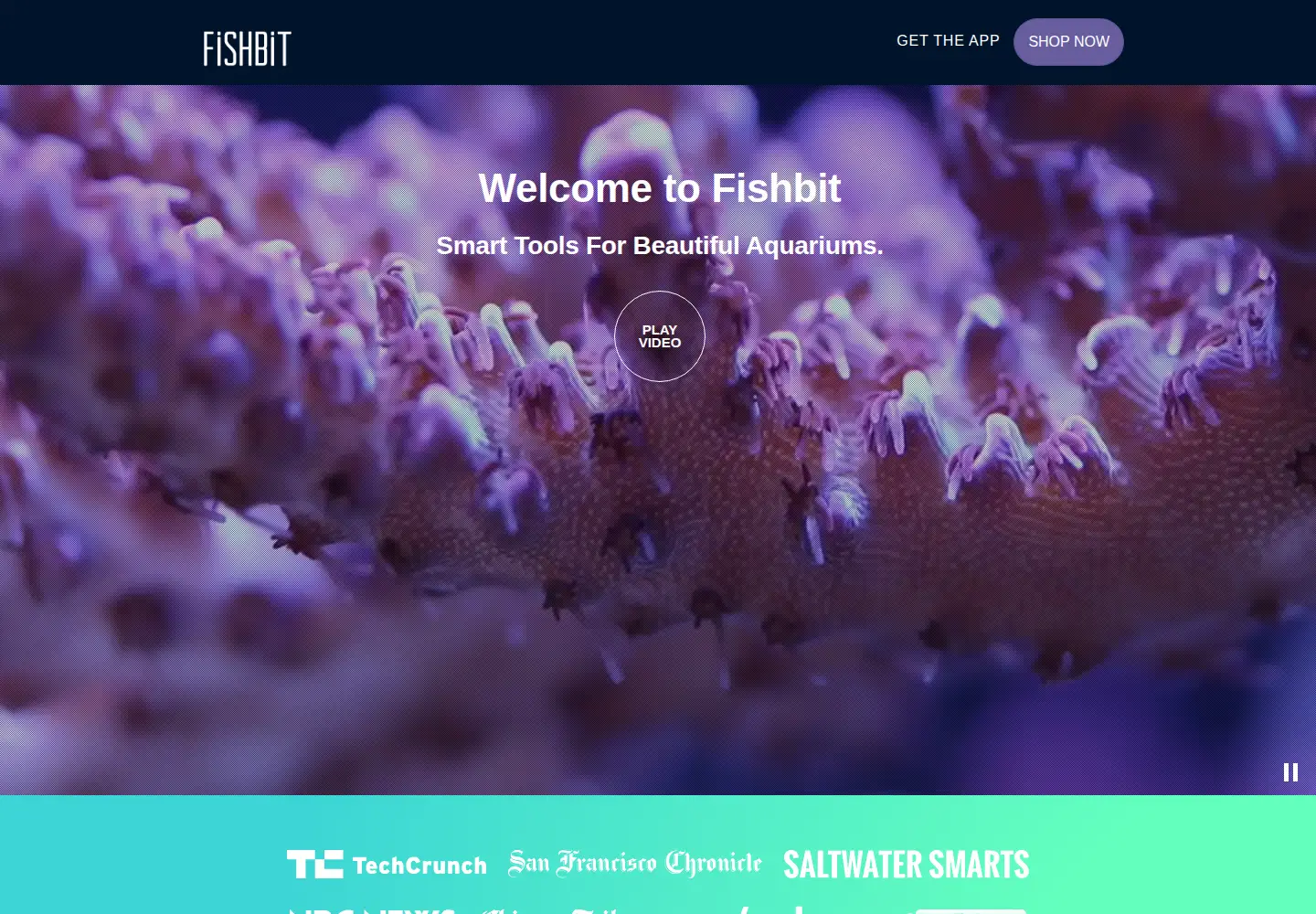 Captured homepage of getfishbit.com in the current scan