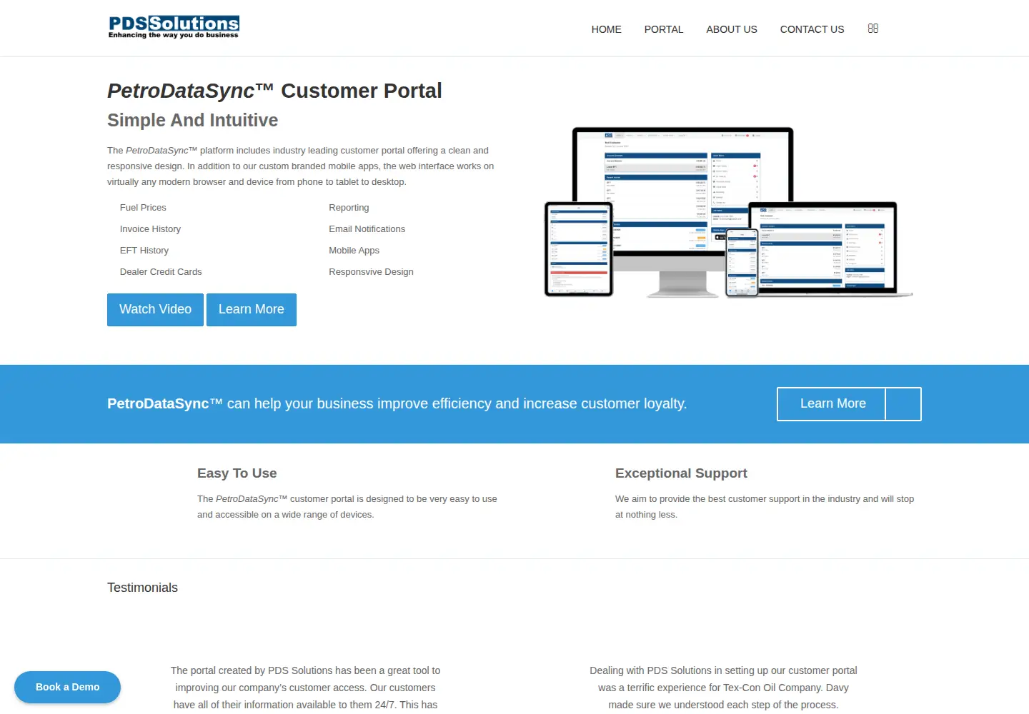 Captured homepage of petrodatasync.com in the current scan
