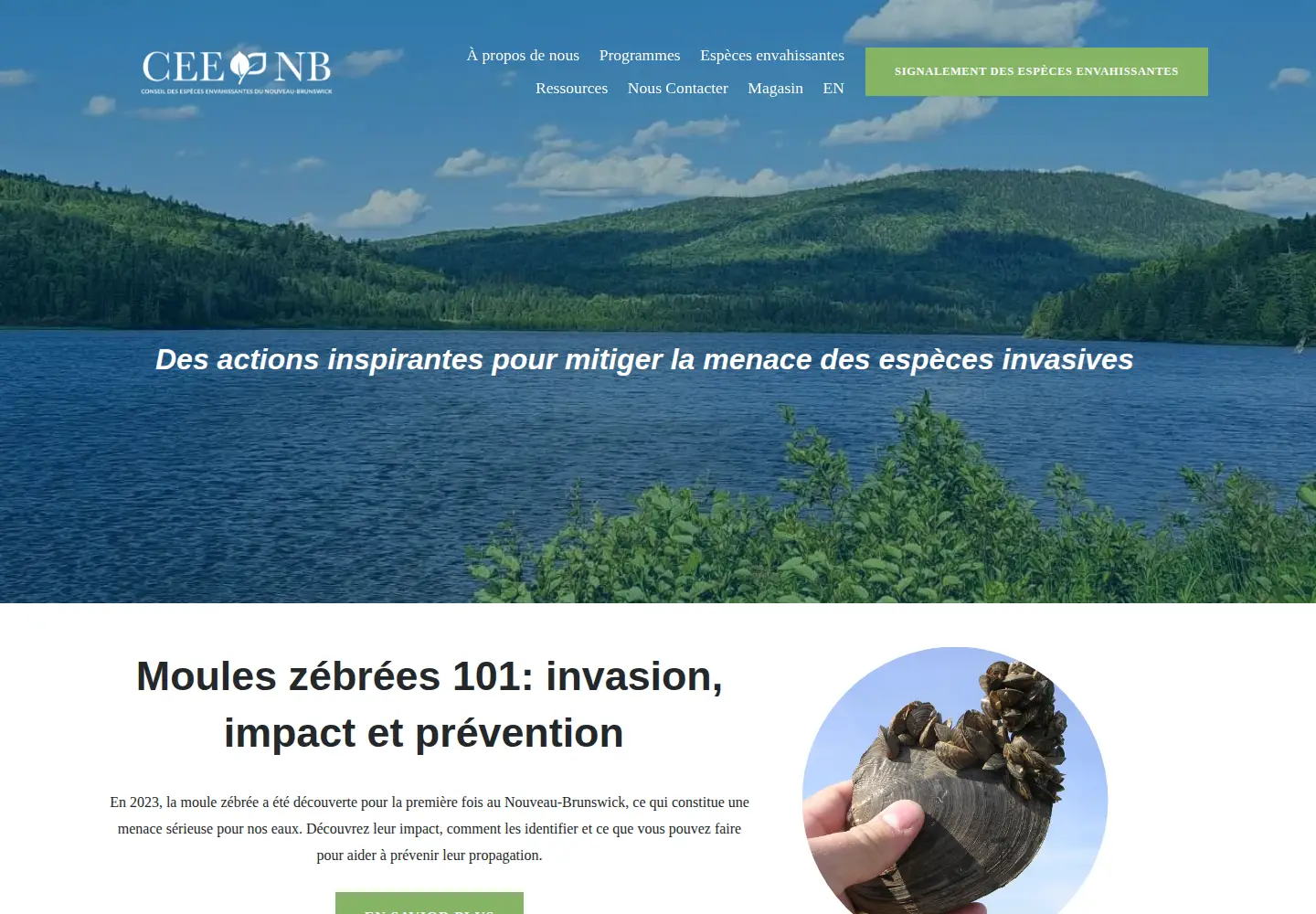 Screenshot of especesenvahissantesnb.ca