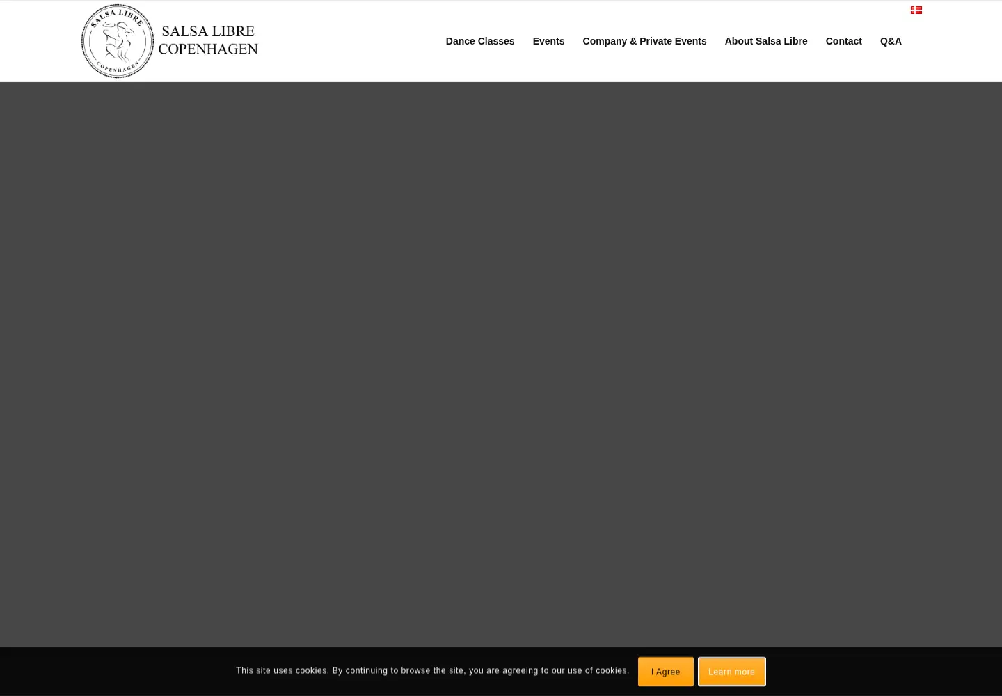 Captured homepage of salsalibre.dk in the current scan