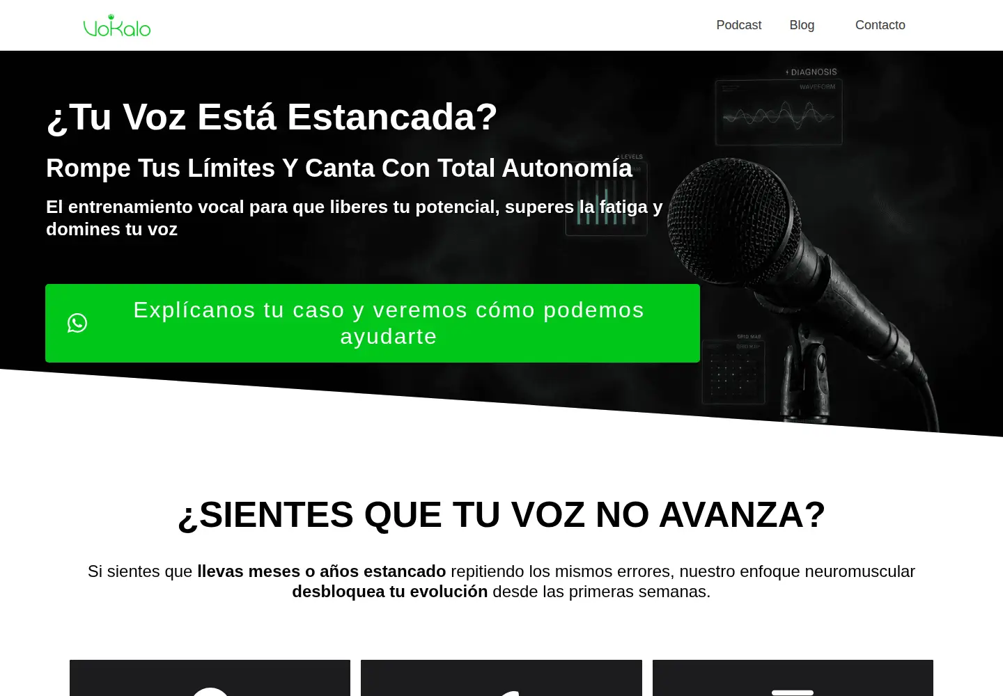 Captured homepage of vokalo.es in the current scan