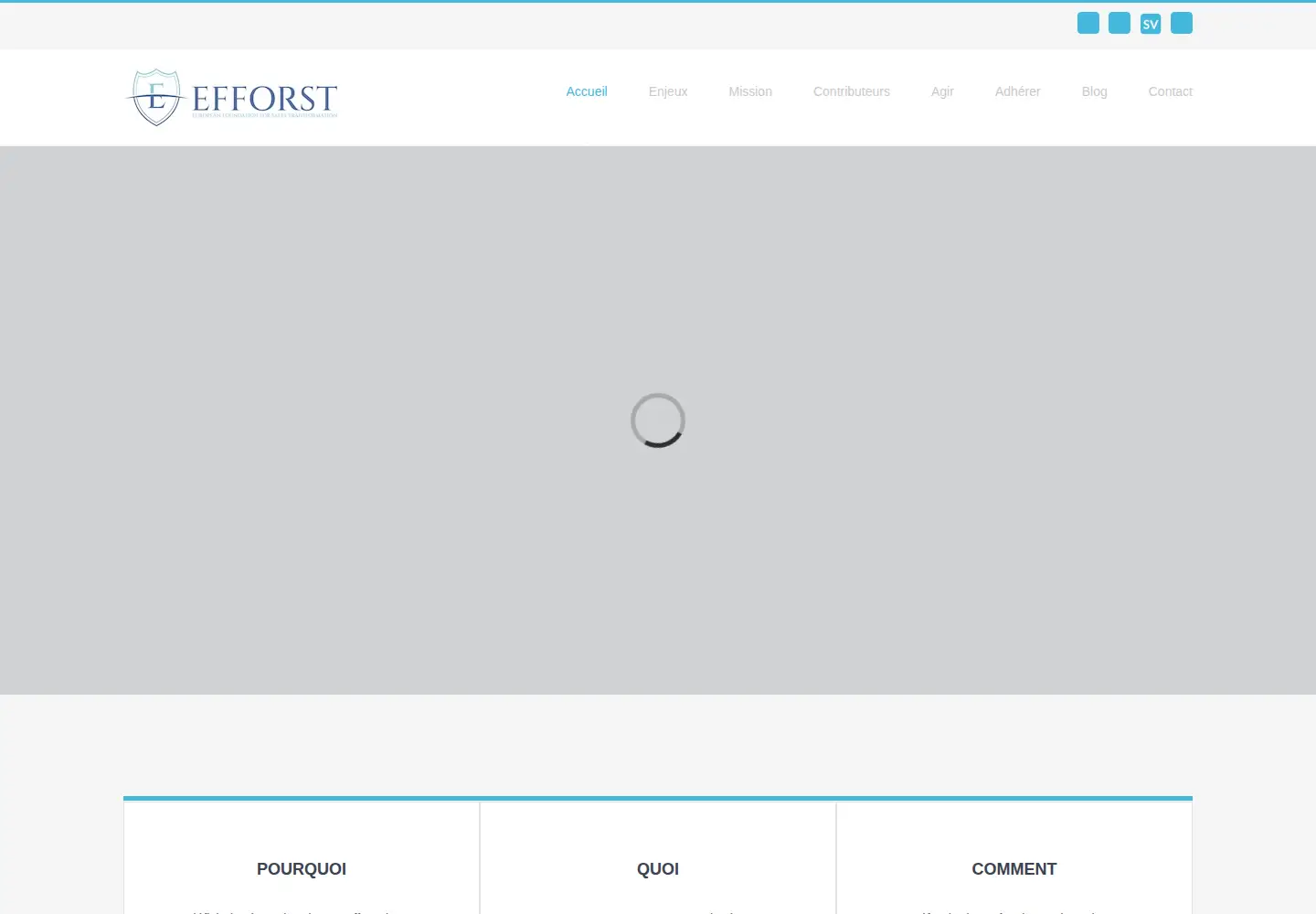 Screenshot of efforst.org