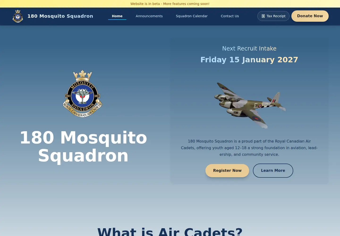 Screenshot of 180mosquito.ca