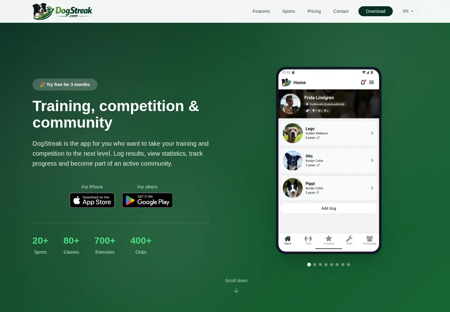 Screenshot of dogstreak.com