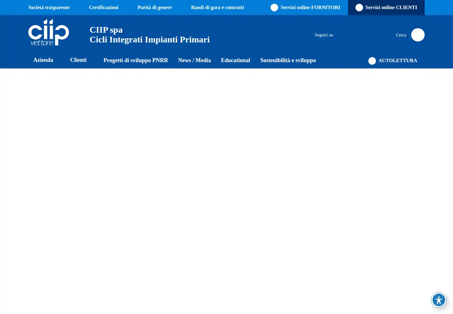 Captured homepage of ciip.it in the current scan