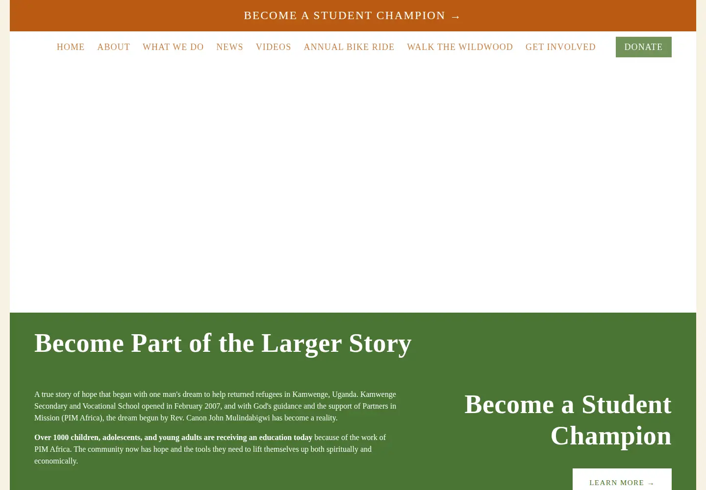 Captured homepage of pim-africa.org in the current scan