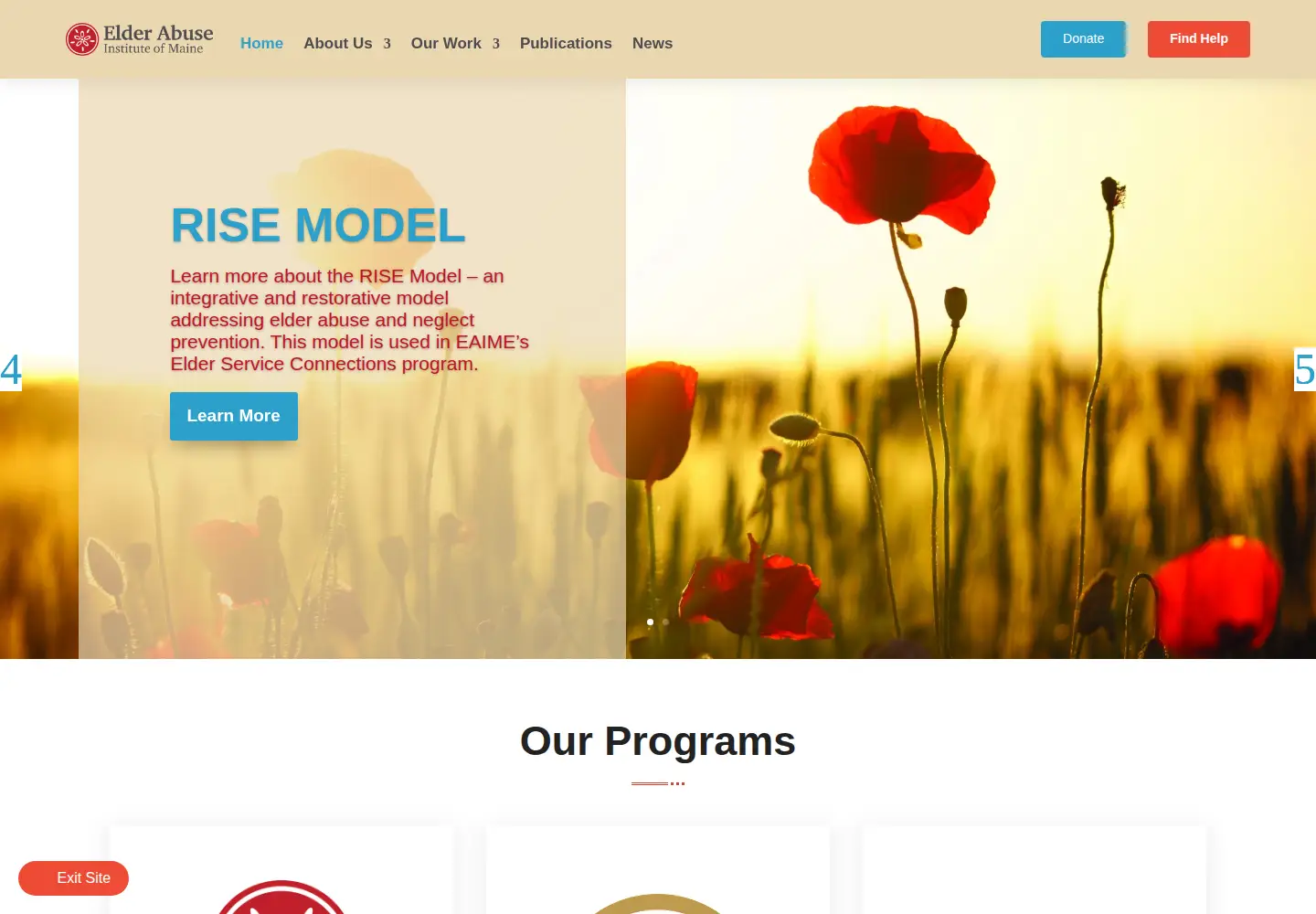 Captured homepage of eaime.org in the current scan