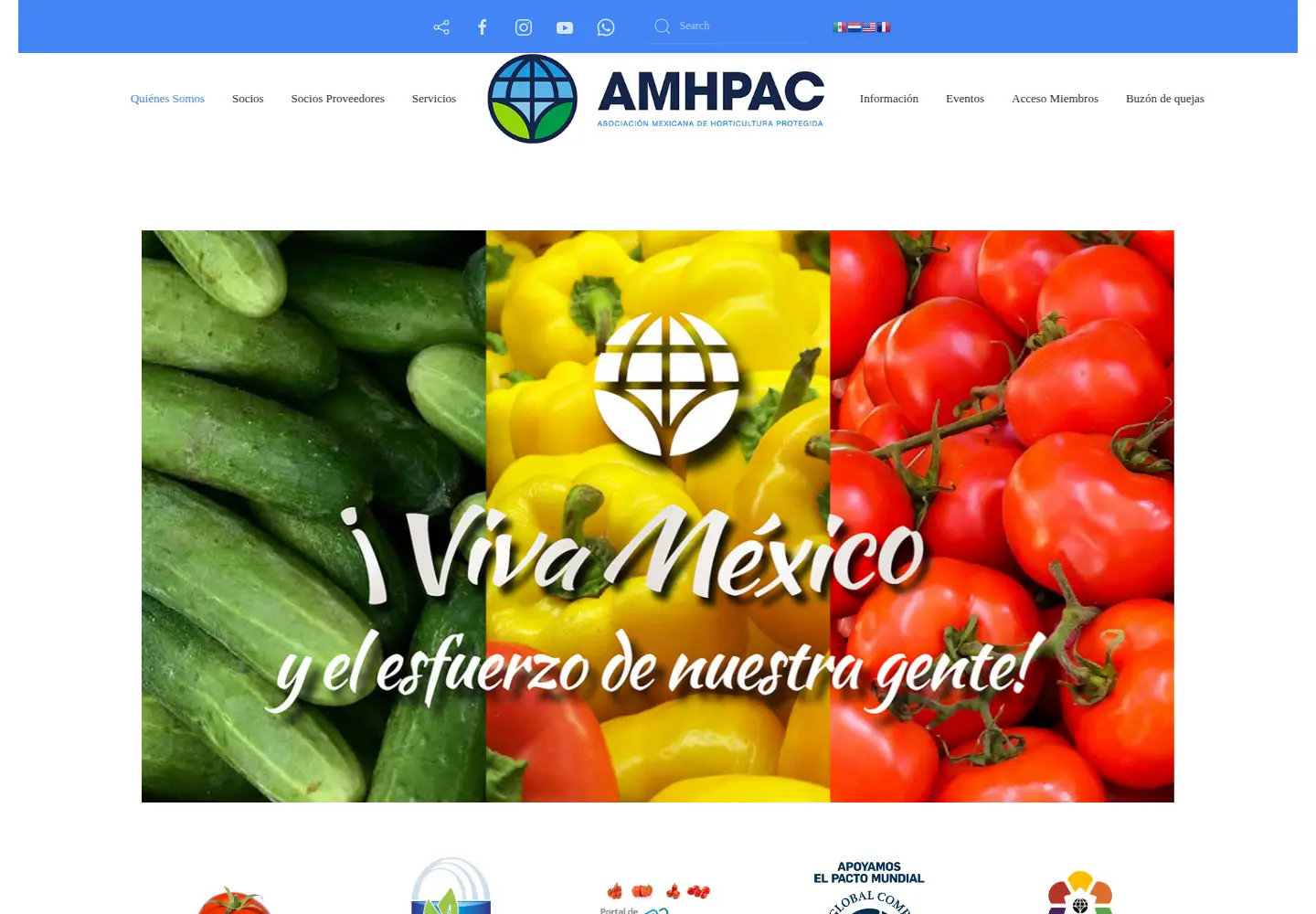 Captured homepage of amhpac.org in the current scan