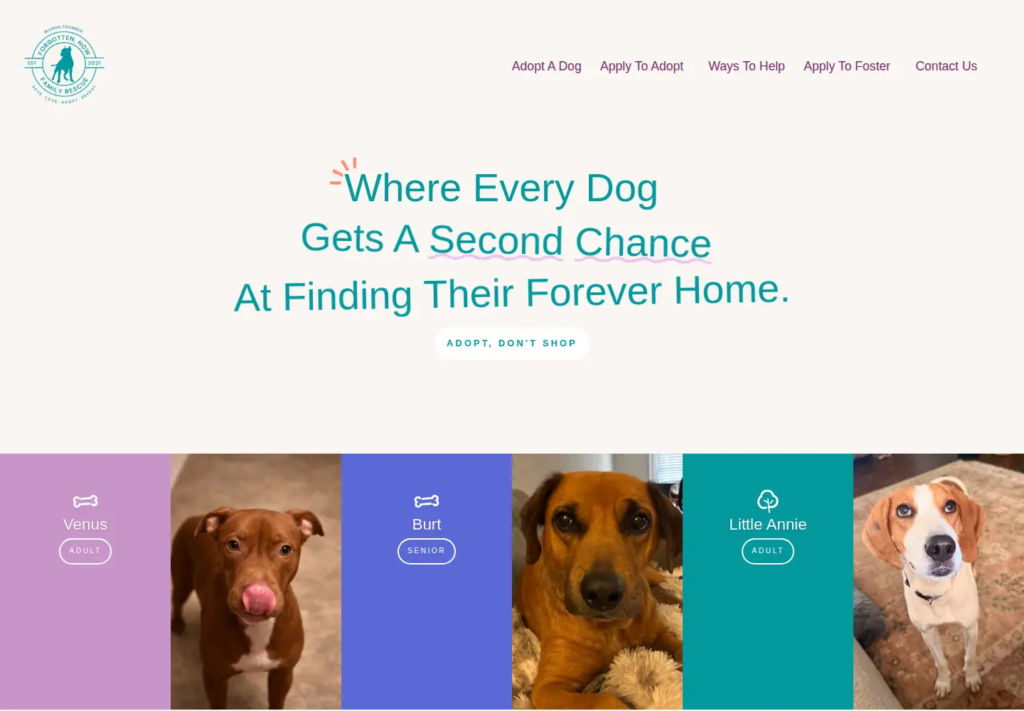 Screenshot of forgottennowfamily.com