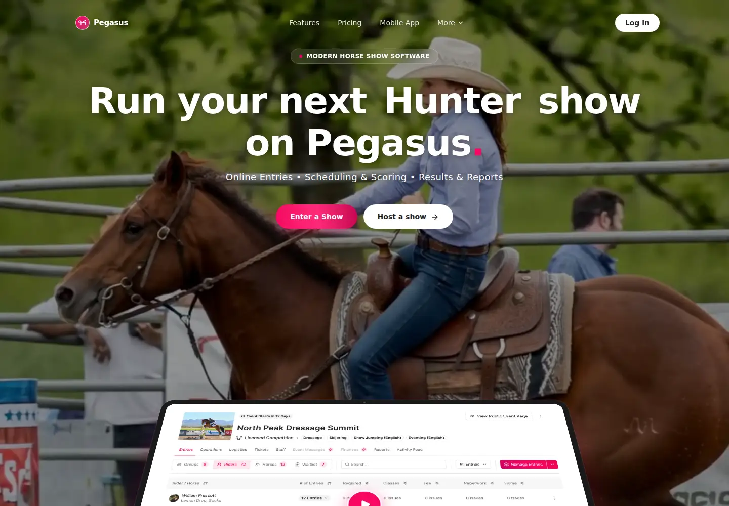Captured homepage of thepegasus.app in the current scan