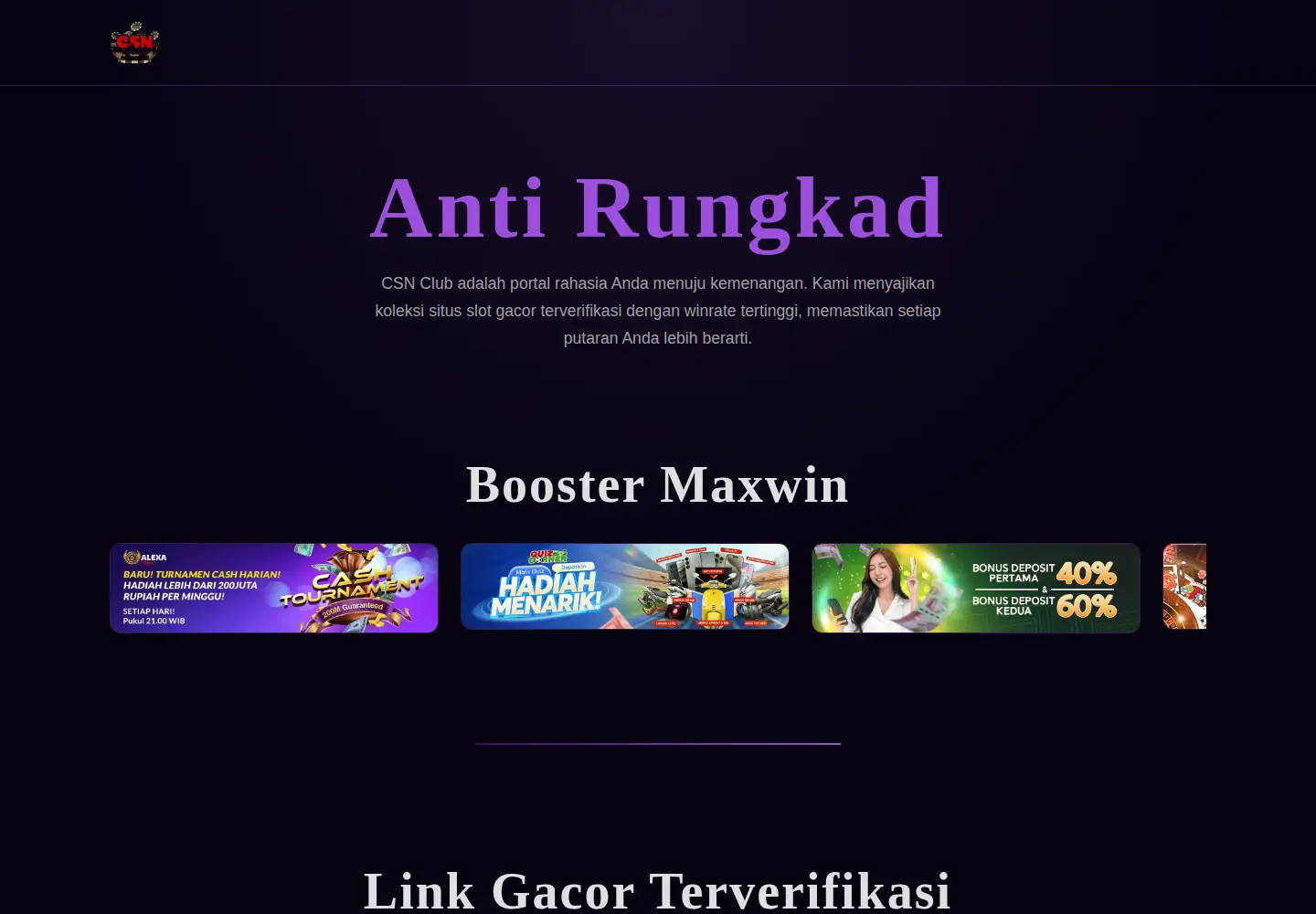 Captured homepage of firstlightwebdesign.net in the current scan