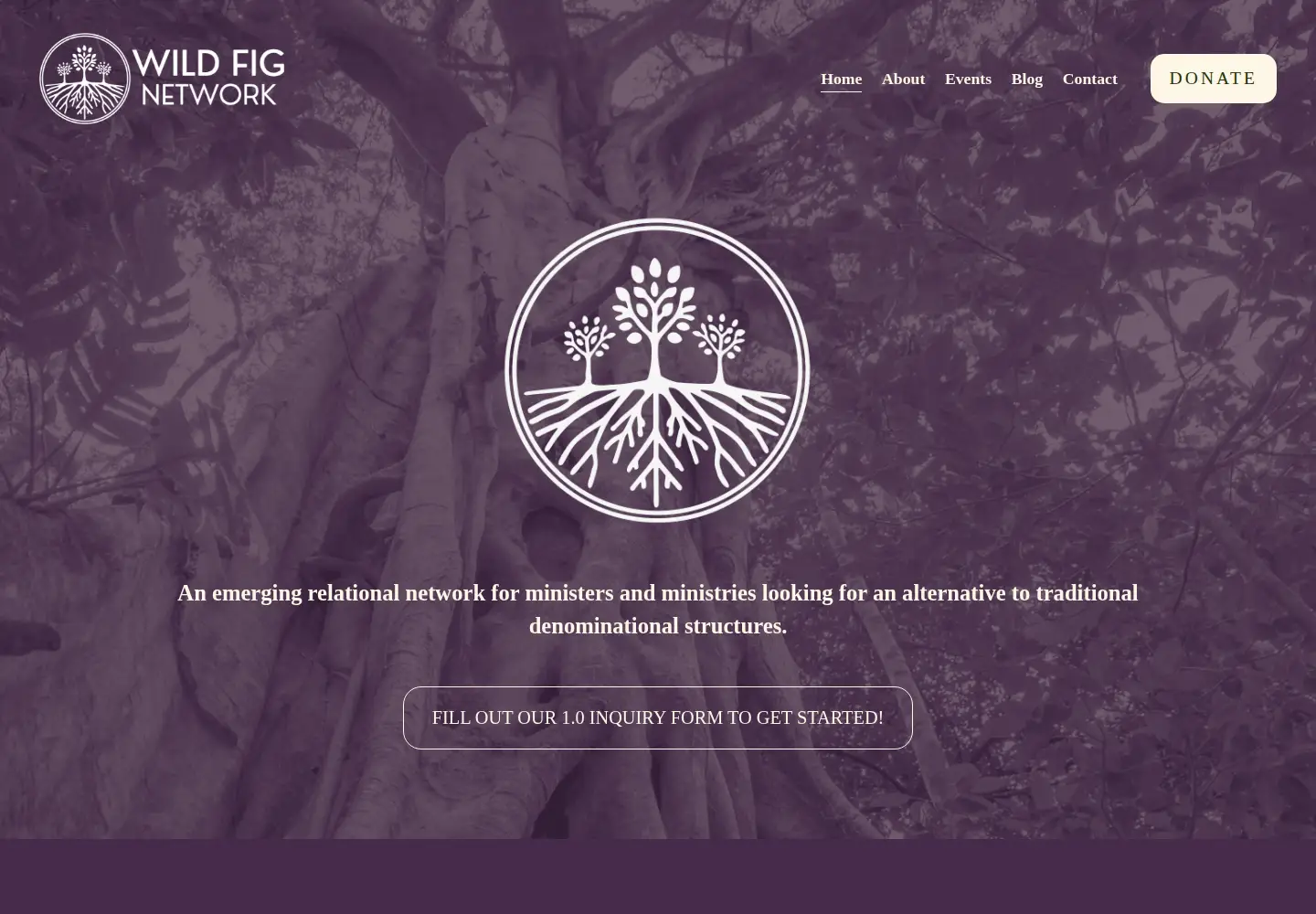 Captured homepage of wildfig.org in the current scan