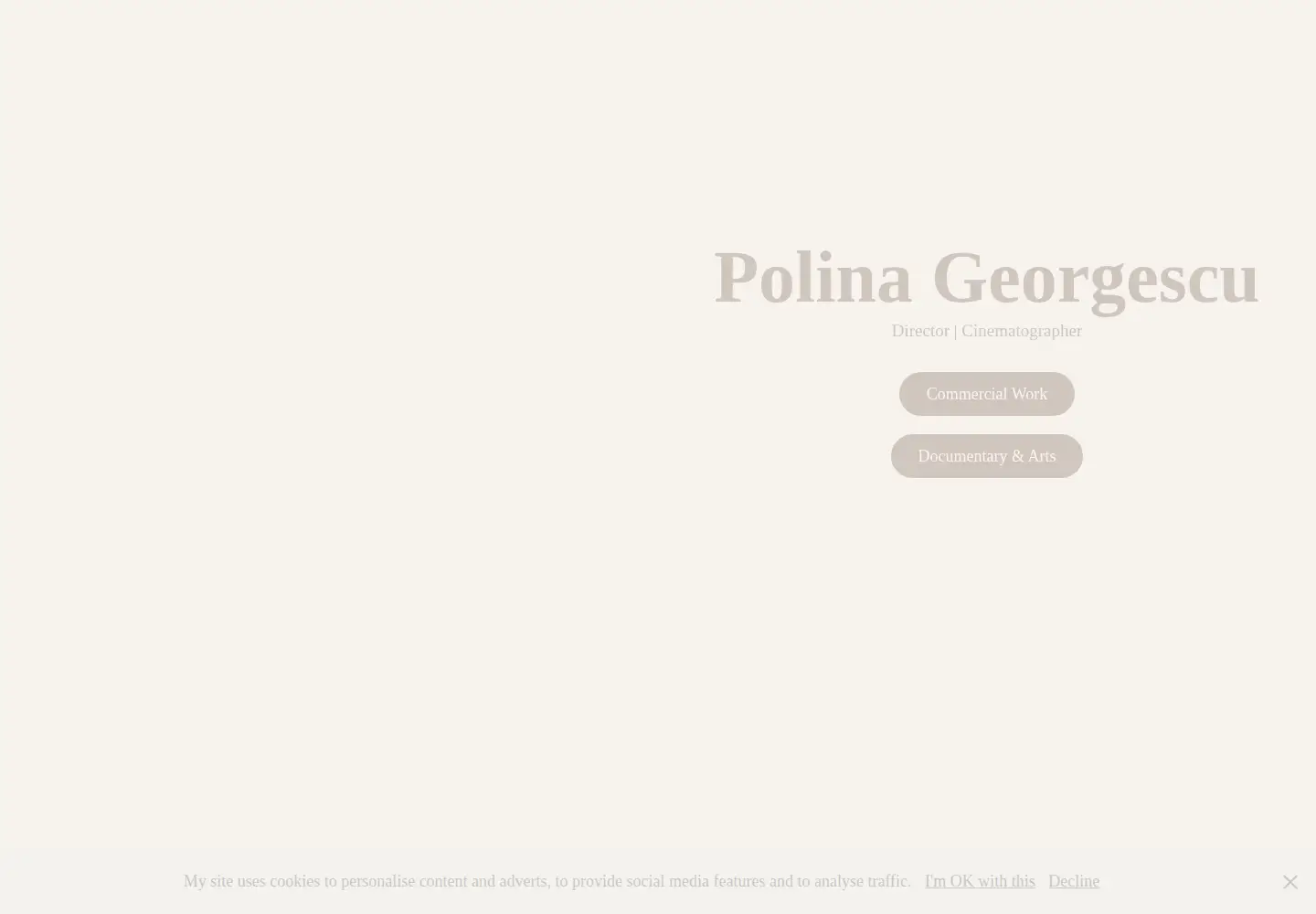Captured homepage of polinafilm.com in the current scan