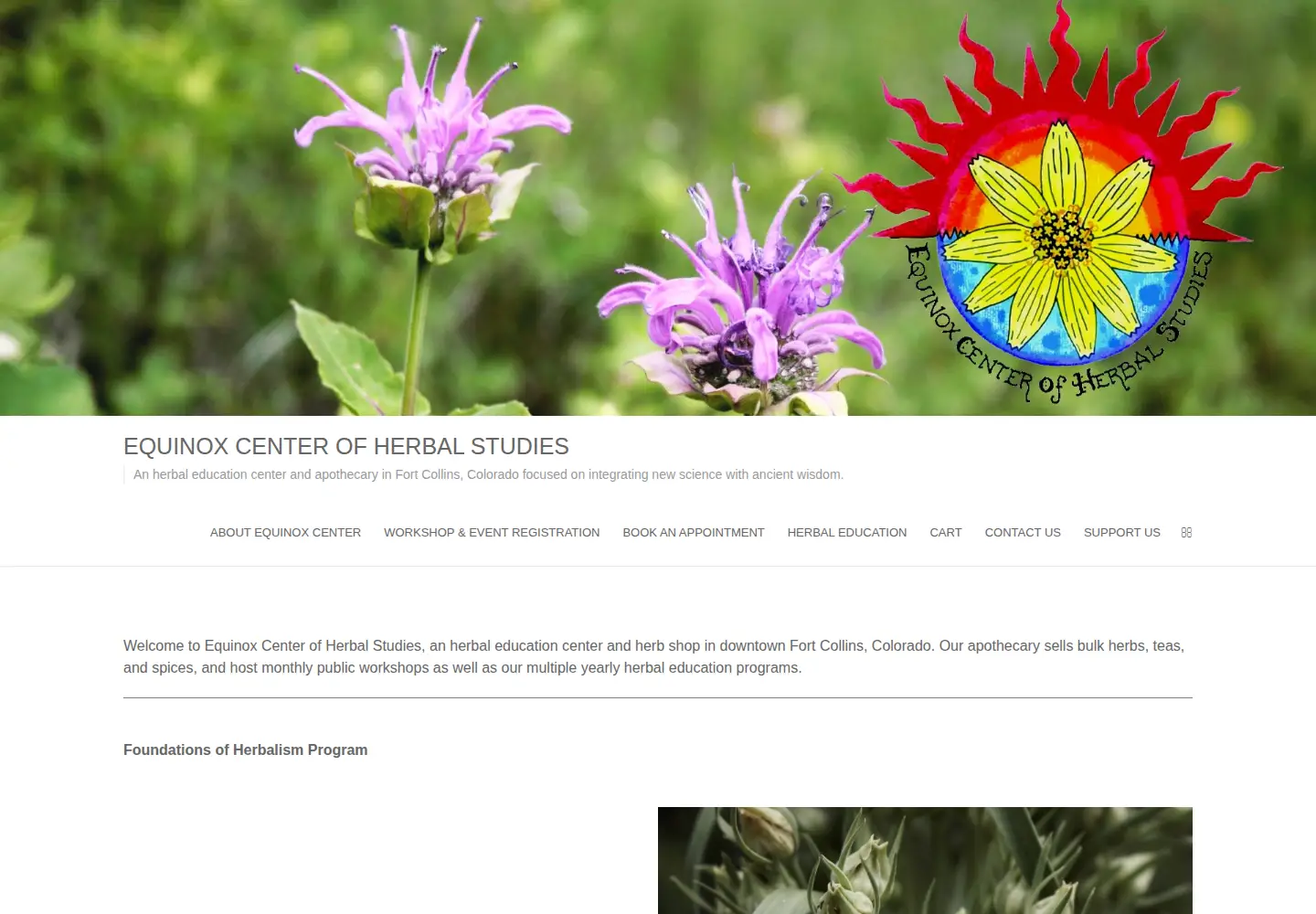 Screenshot of equinoxcenterofherbalstudies.com