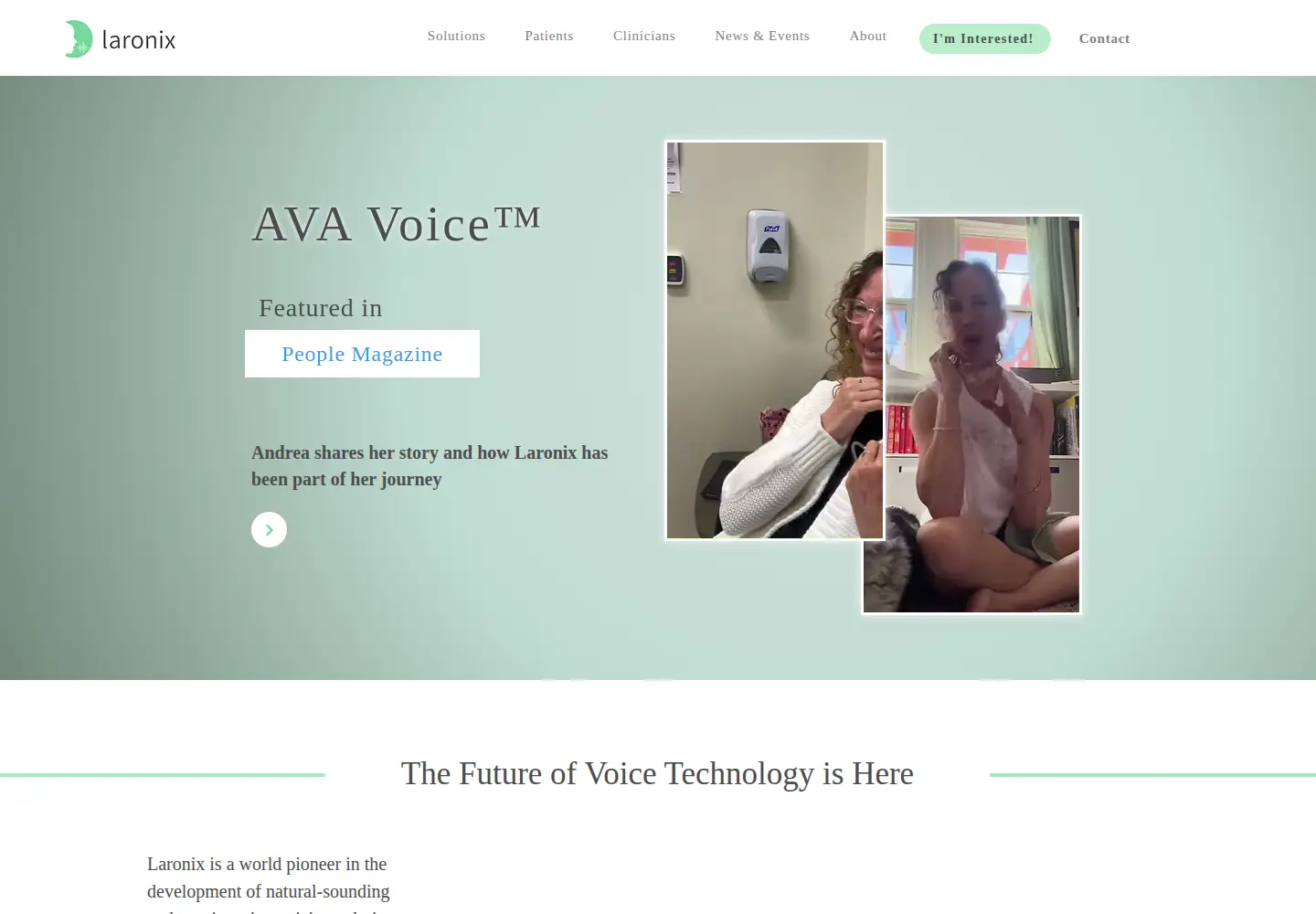 Screenshot of laronix.com