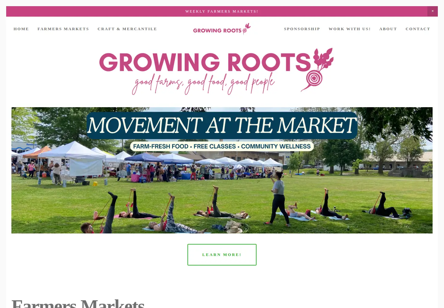 Captured homepage of growingrootspartners.com in the current scan