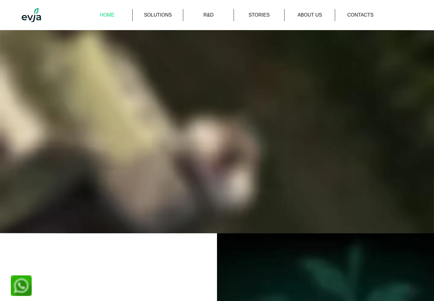 Captured homepage of evja.eu in the current scan