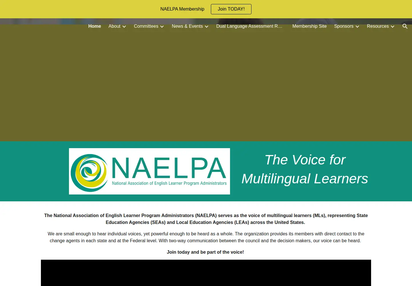 Screenshot of naelpa.org