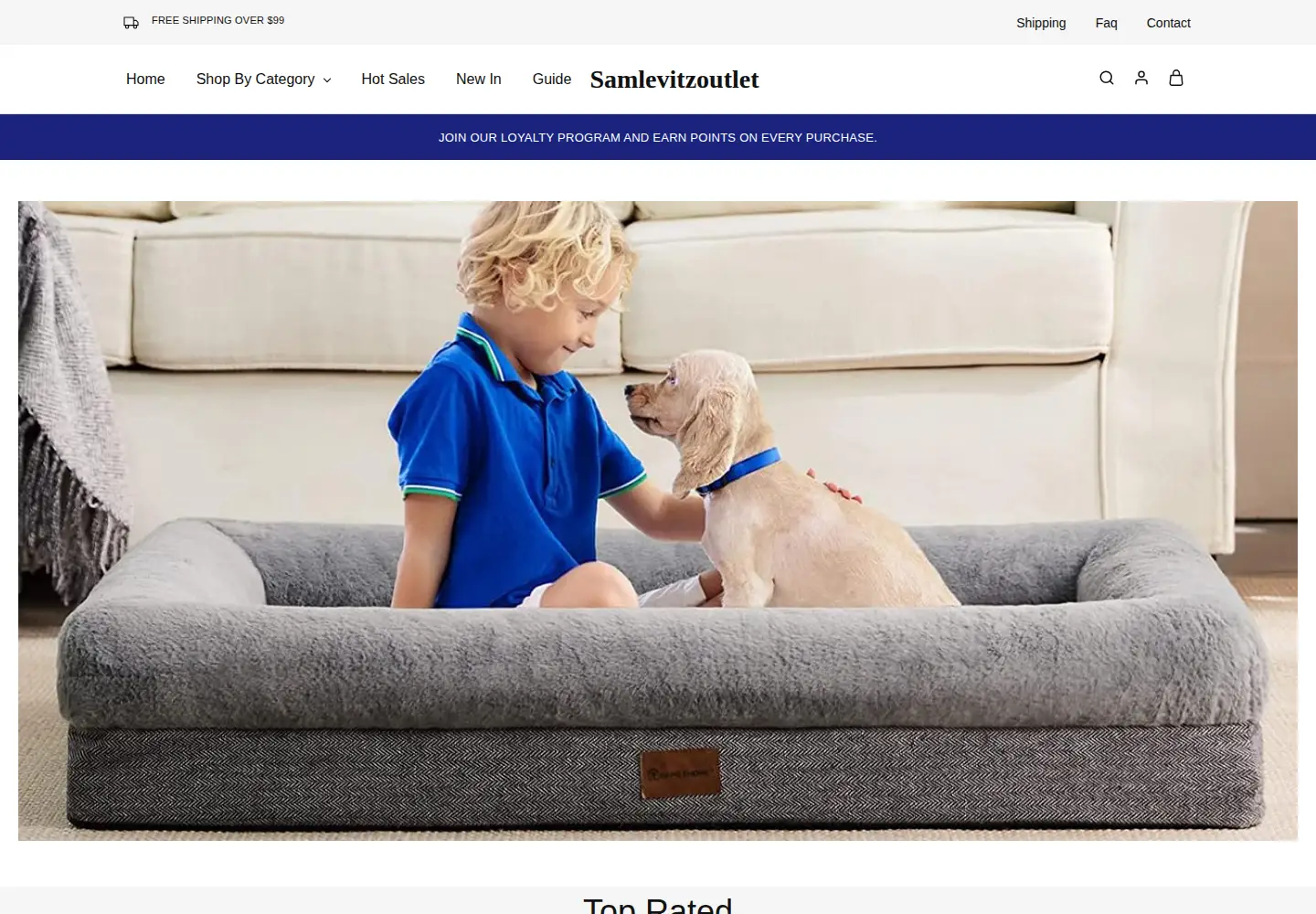 Screenshot of samlevitzoutlet.org