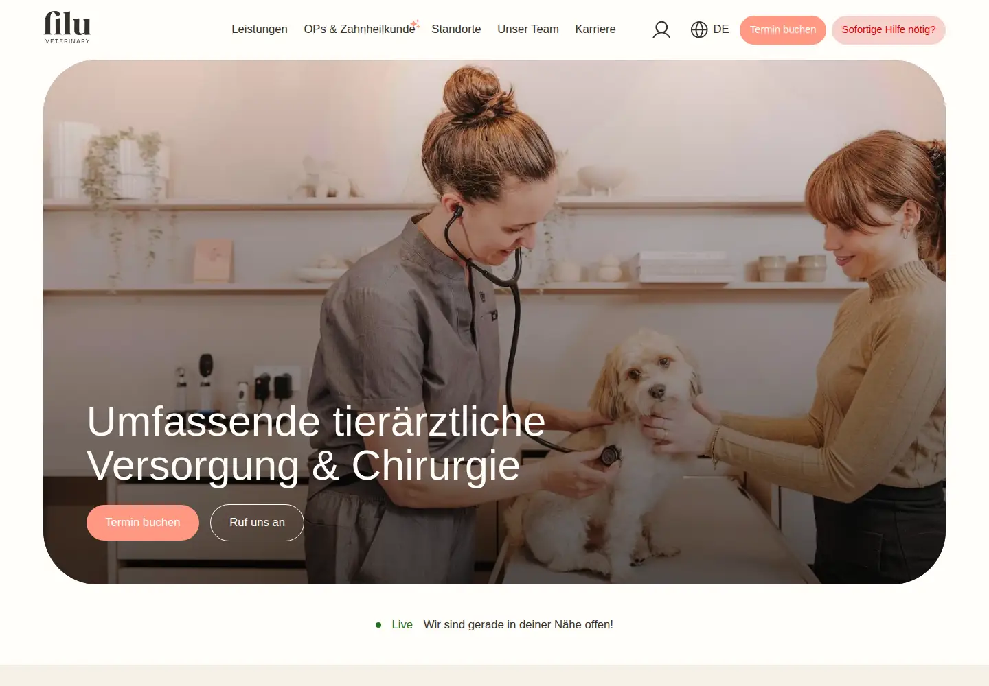 Screenshot of filu.vet