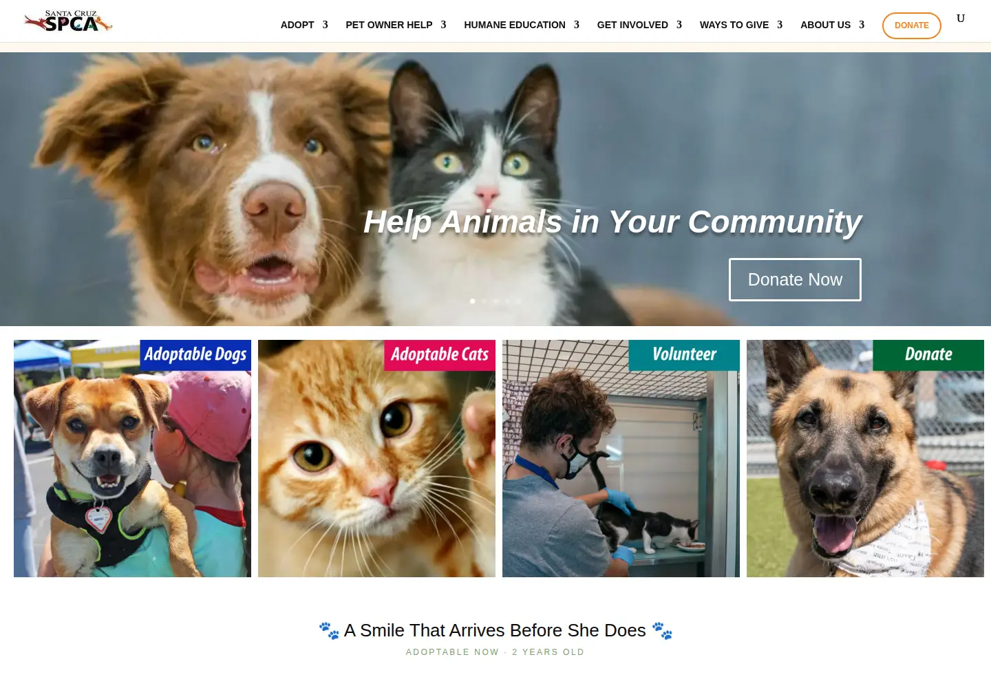 Screenshot of spcasc.org