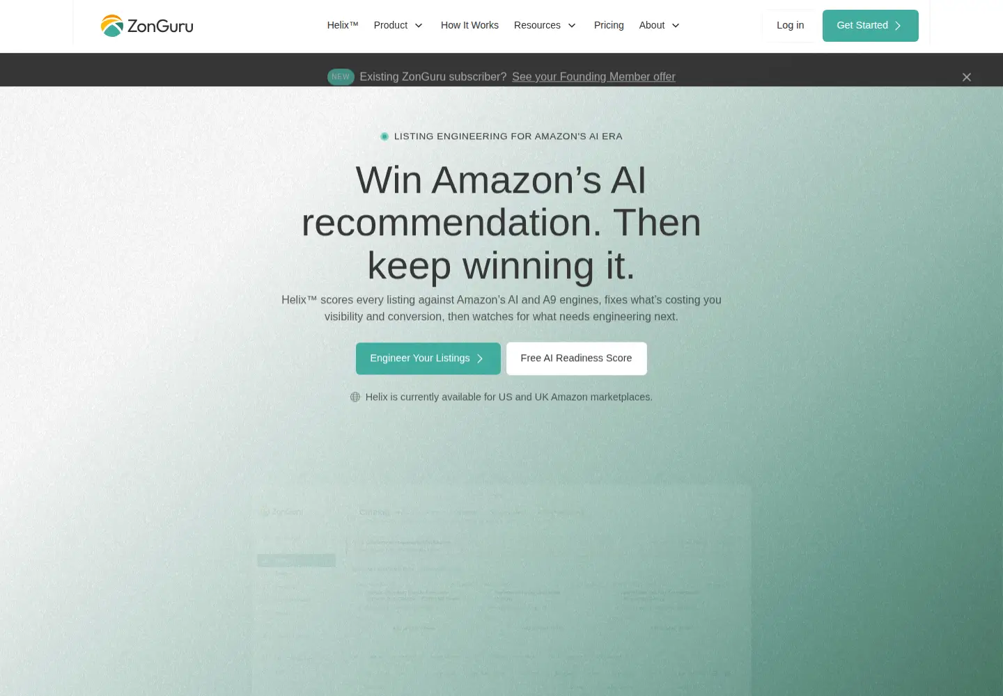 Screenshot of zonguru.com