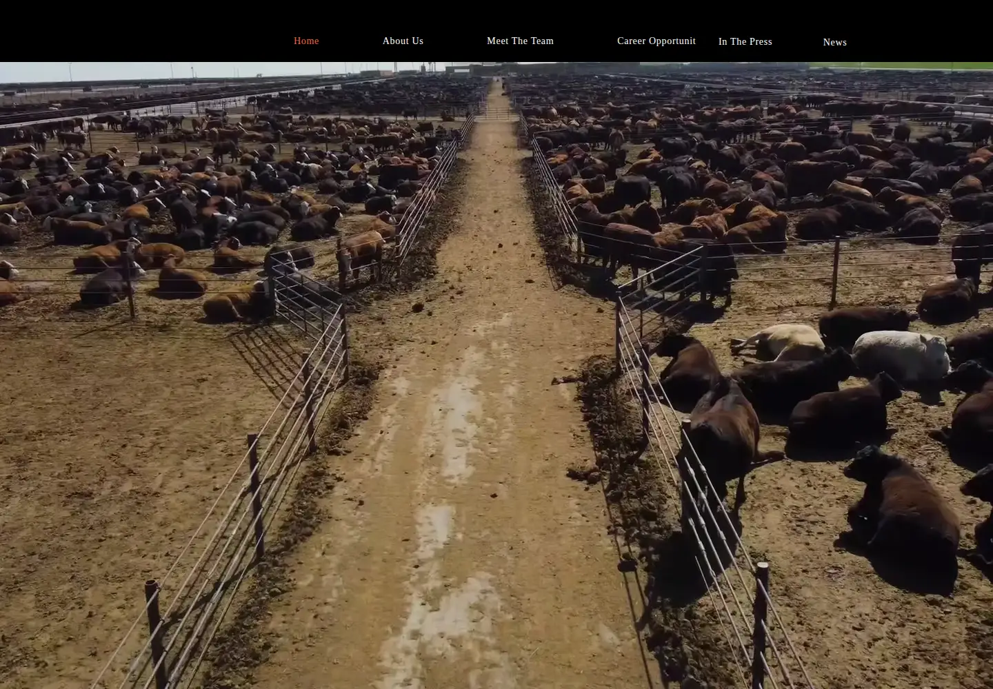 Screenshot of intermountainbeef.com