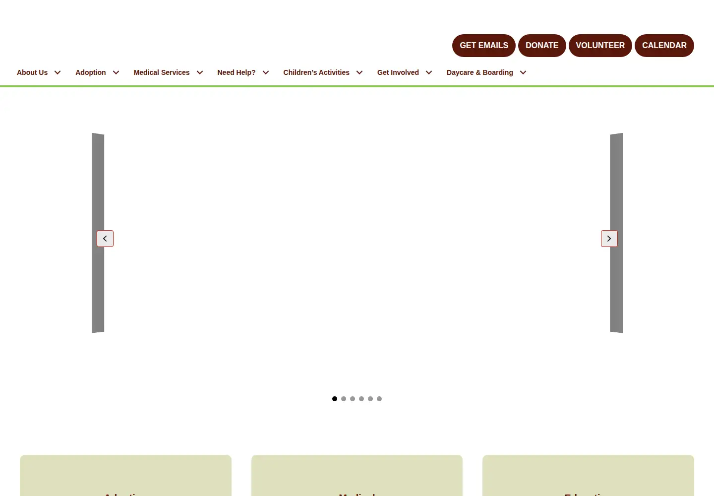 Screenshot of pawmettolifeline.org