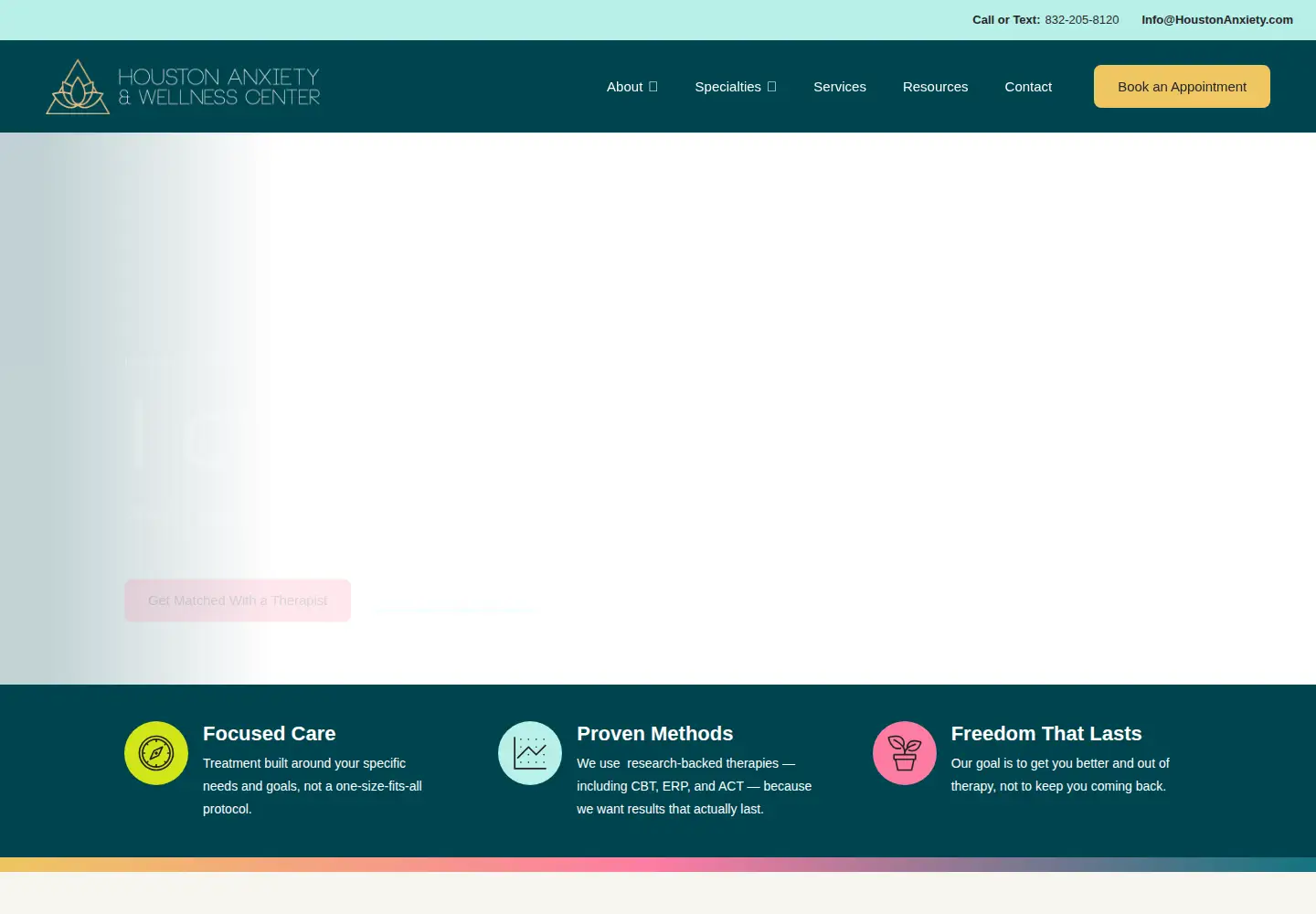 Screenshot of houstonanxiety.com