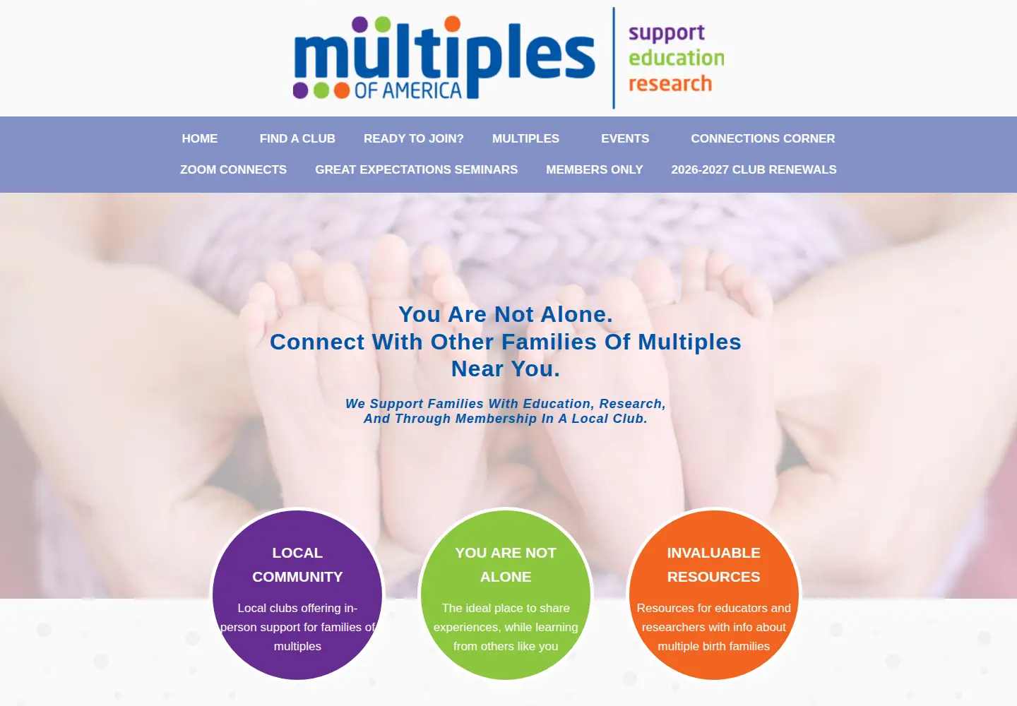 Captured homepage of multiplesofamerica.org in the current scan