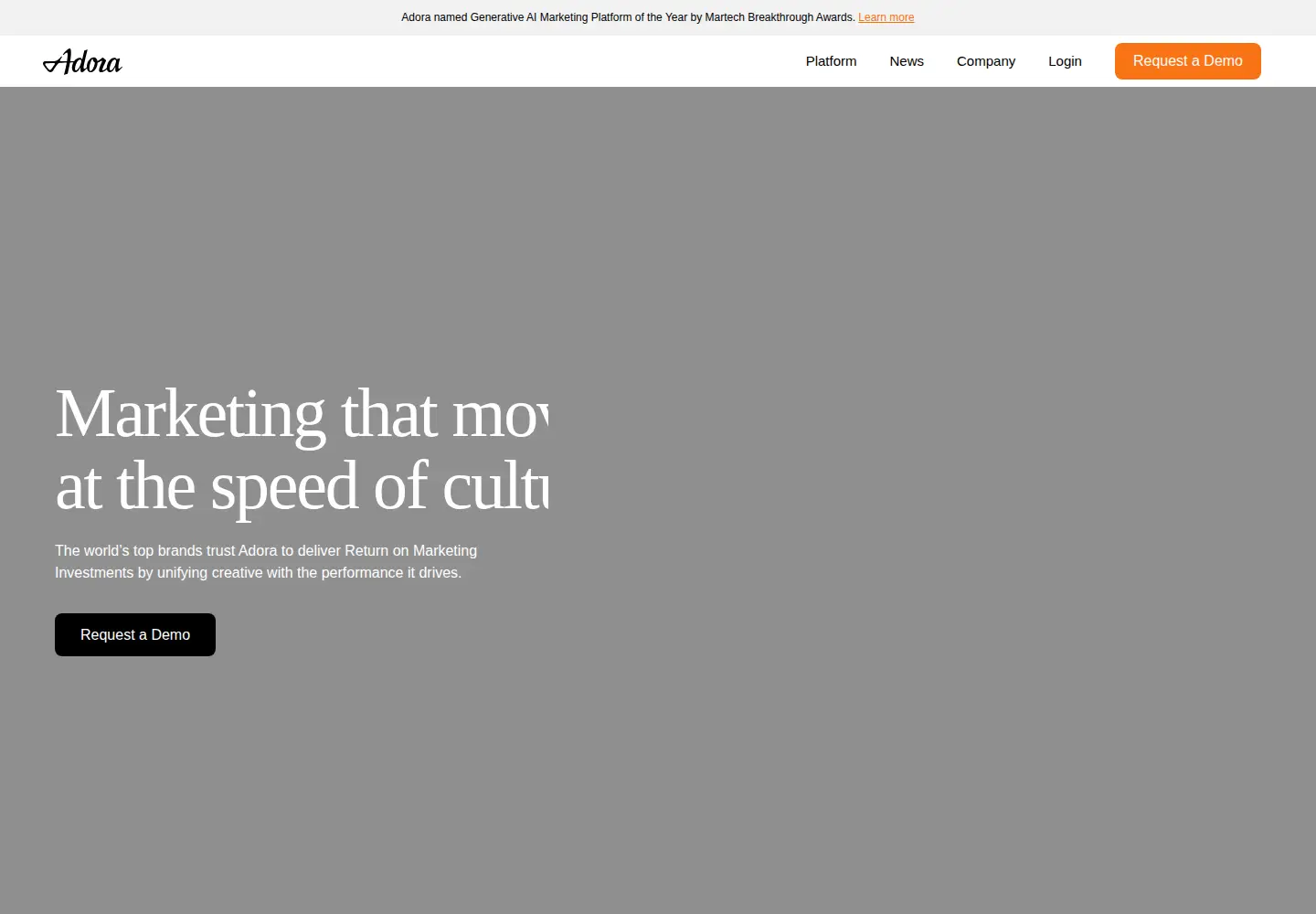 Captured homepage of adora-ai.com in the current scan