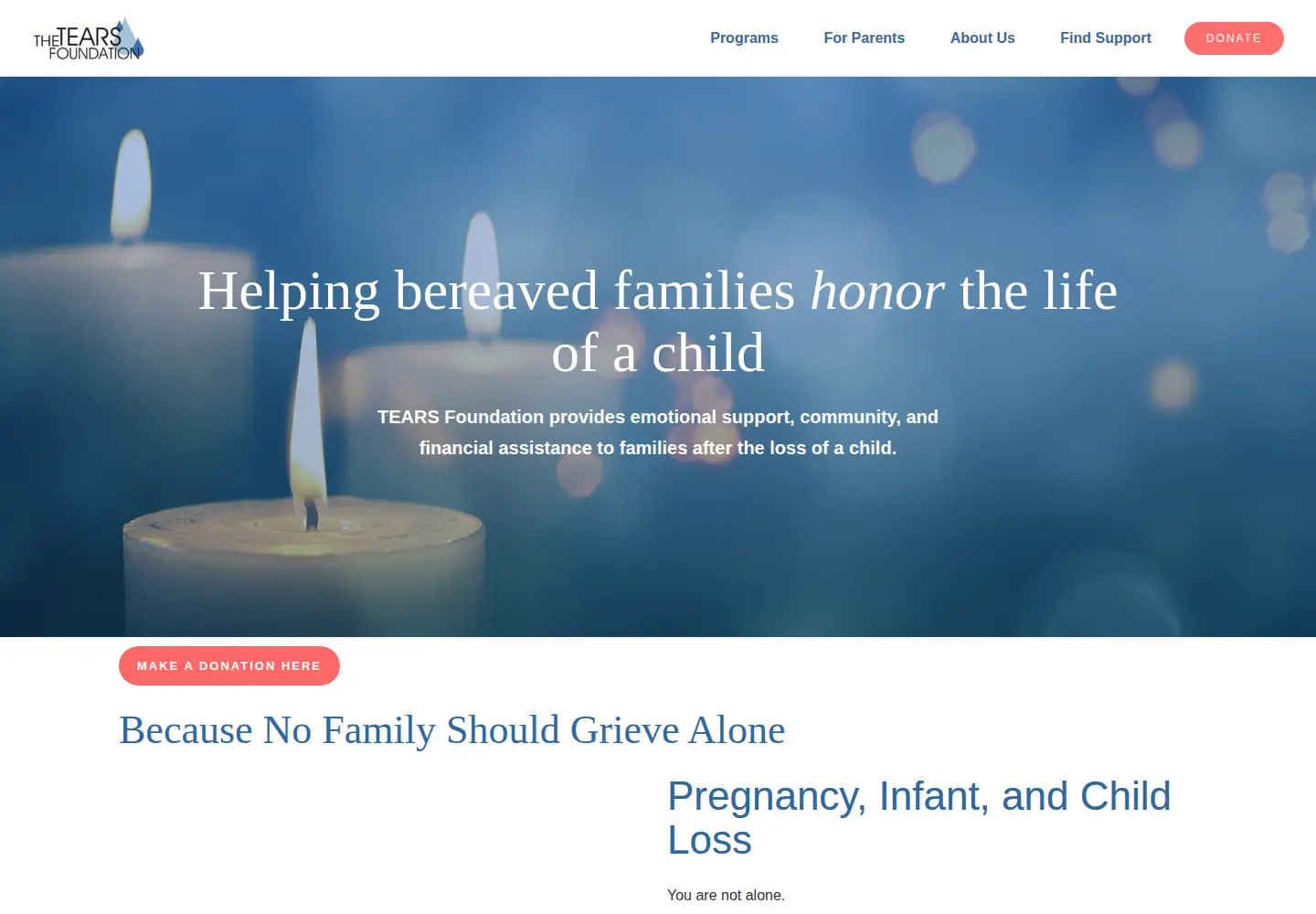 Captured homepage of thetearsfoundation.org in the current scan