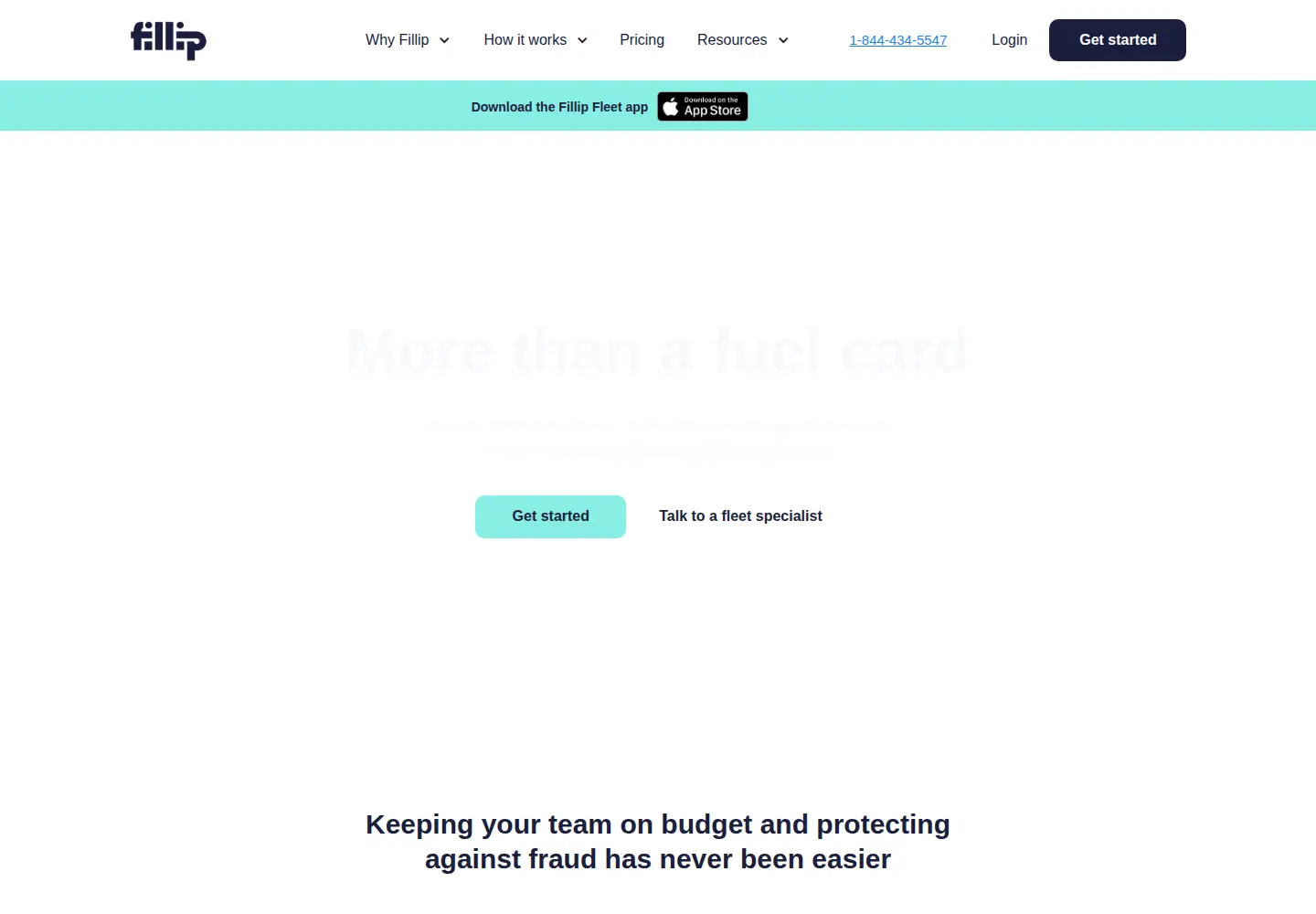 Captured homepage of fillipfleet.com in the current scan