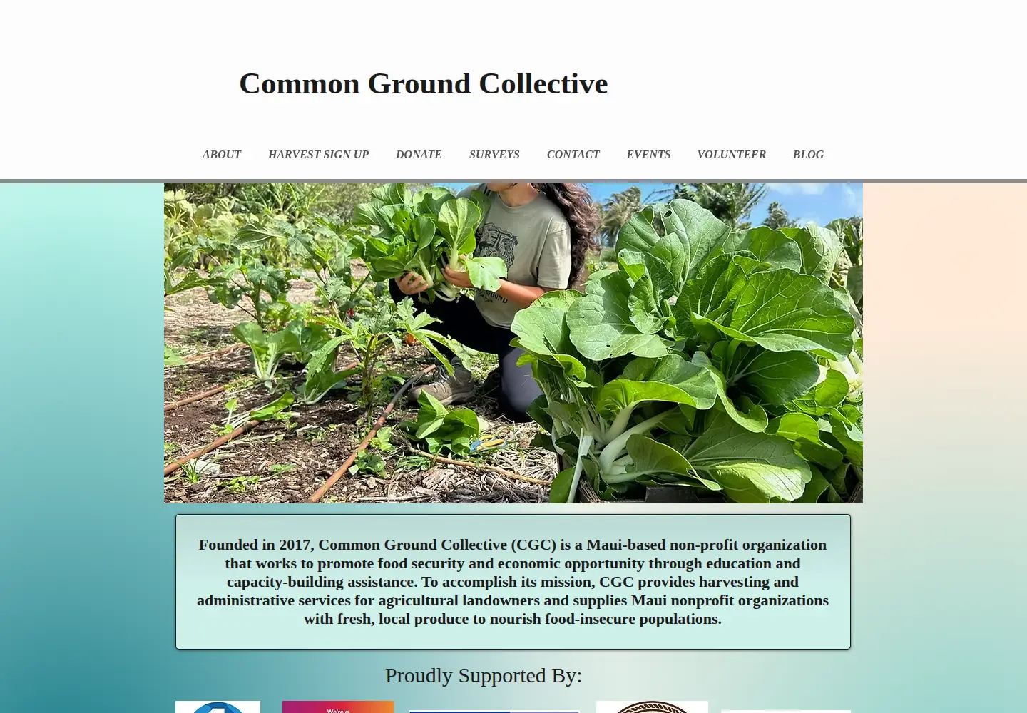 Screenshot of commongroundcollective.com