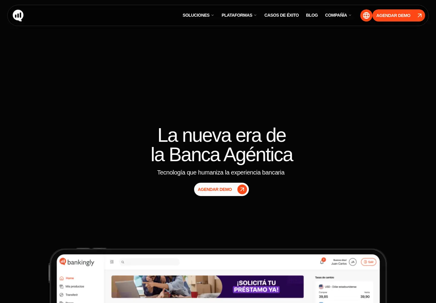Captured homepage of bankingly.com in the current scan