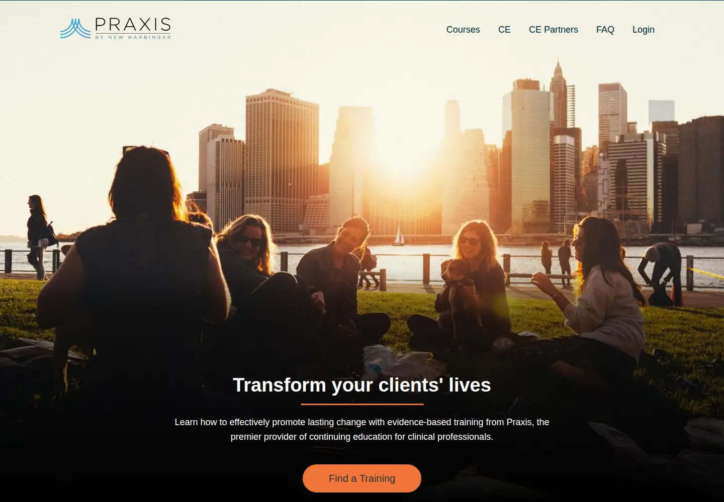 Screenshot of praxiscet.com