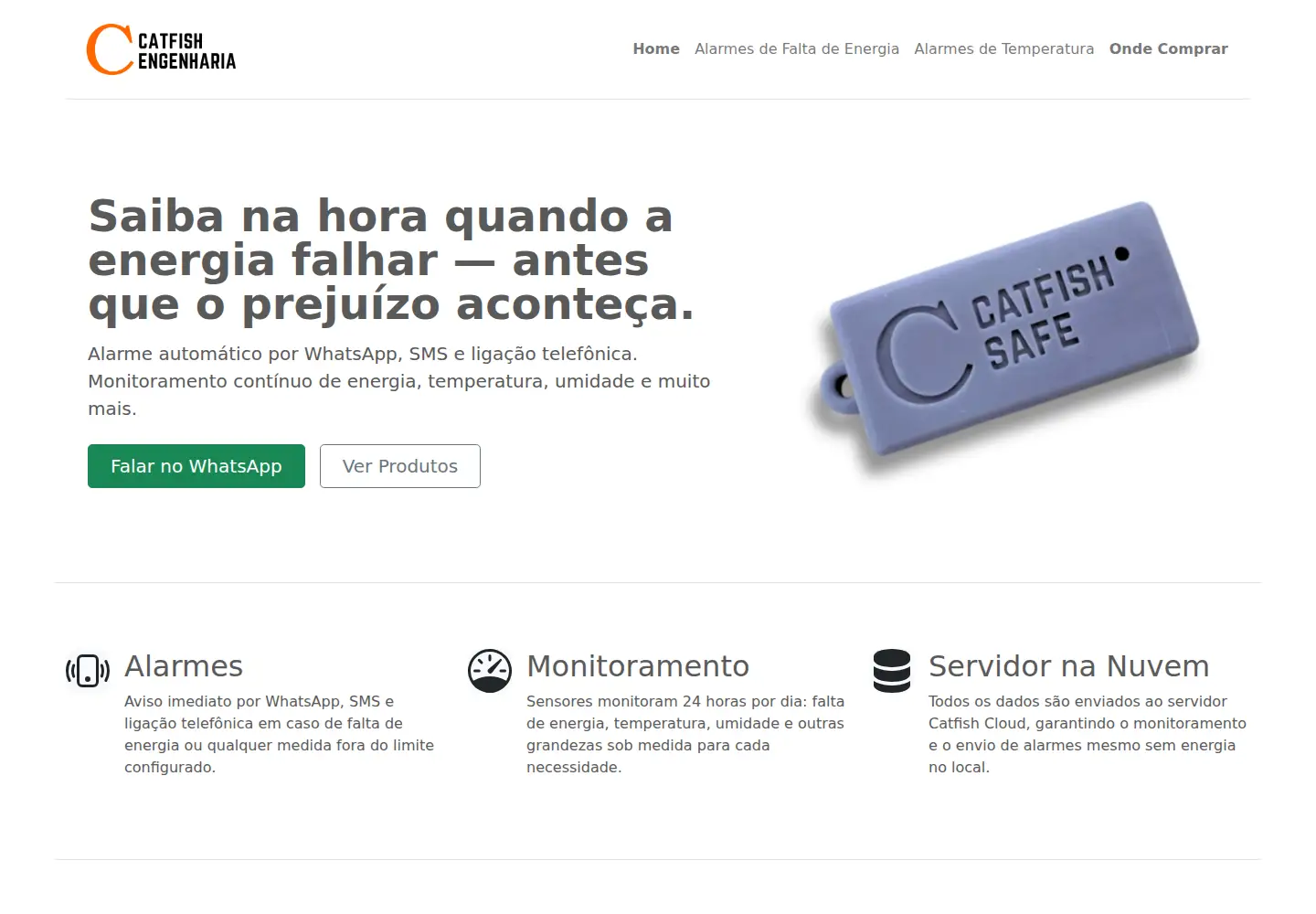 Captured homepage of catfish.eng.br in the current scan