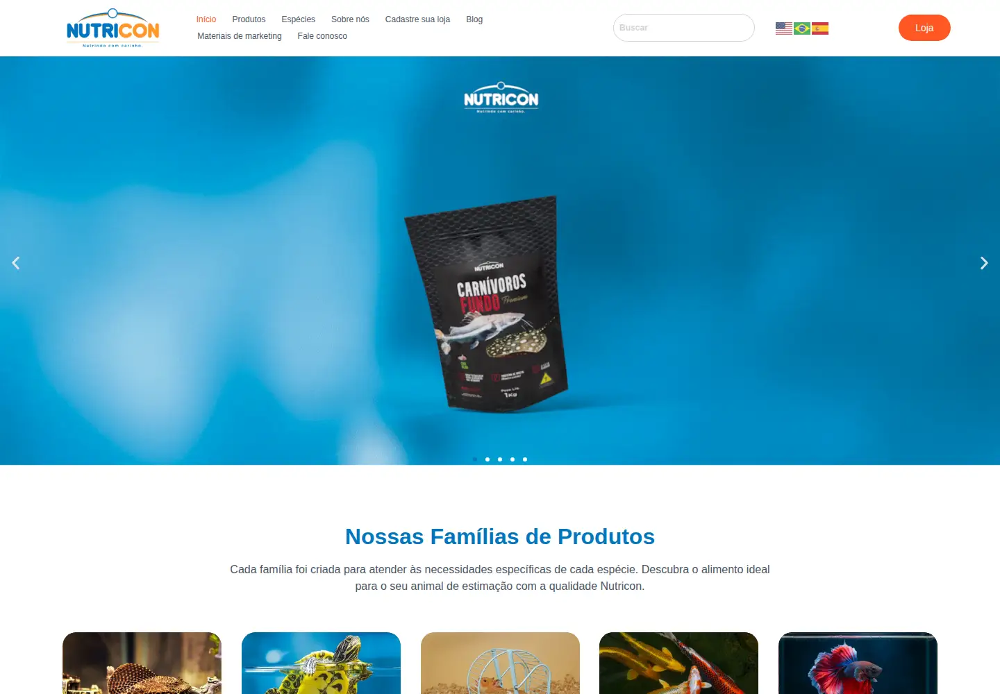 Captured homepage of nutricon.ind.br in the current scan