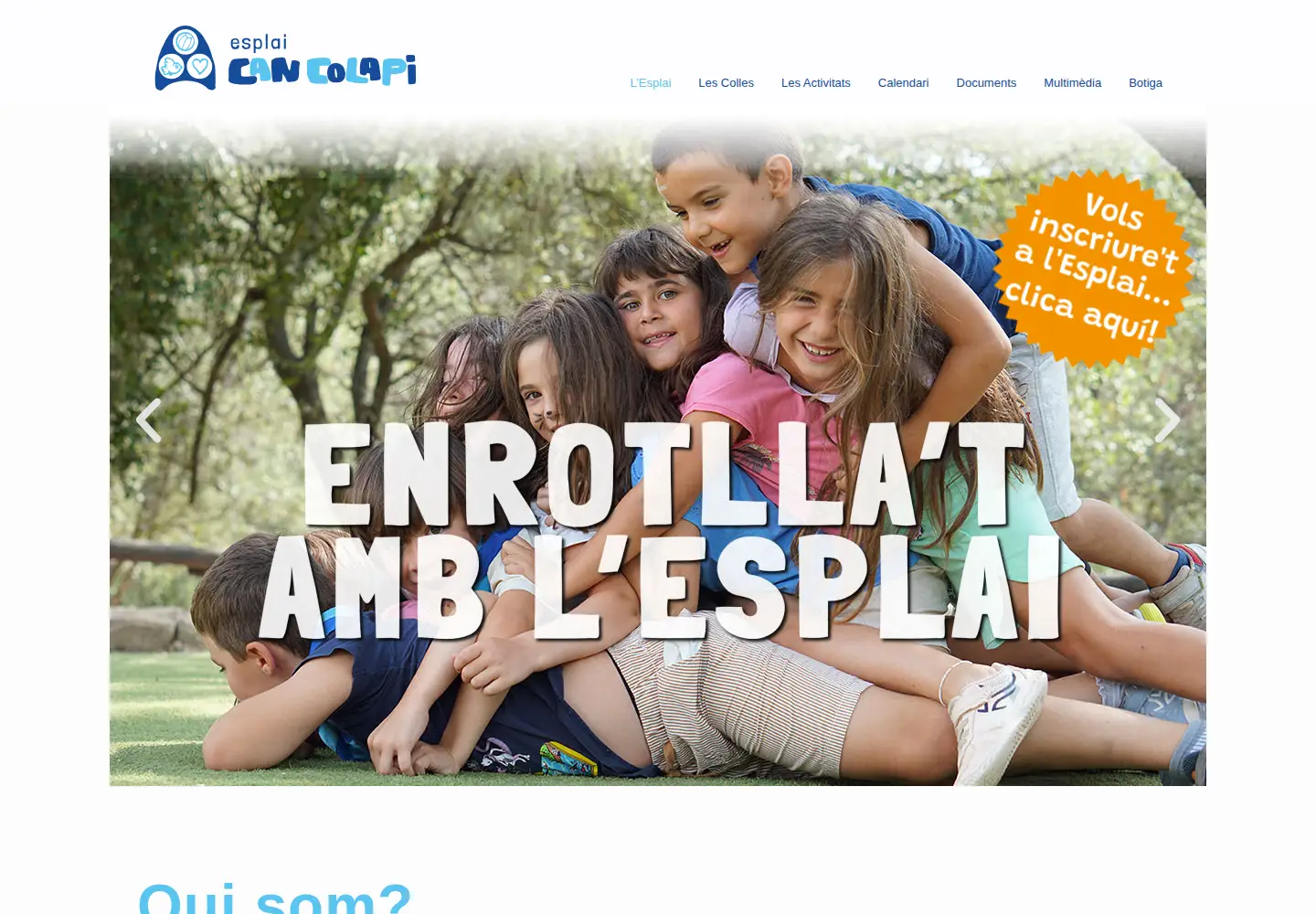Screenshot of esplaicancolapi.cat