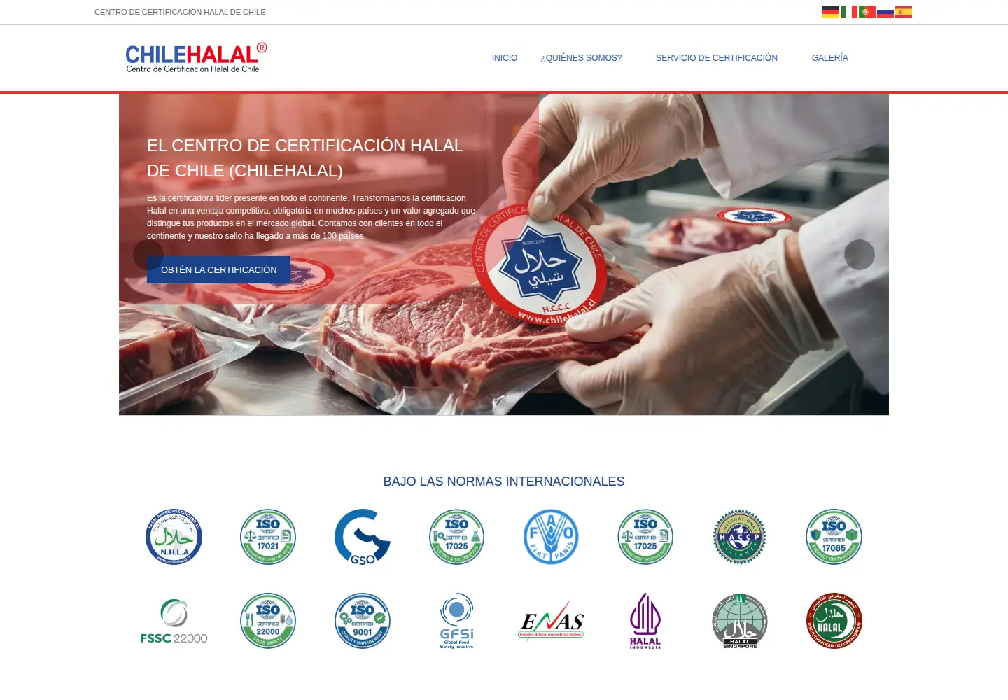 Screenshot of chilehalal.cl